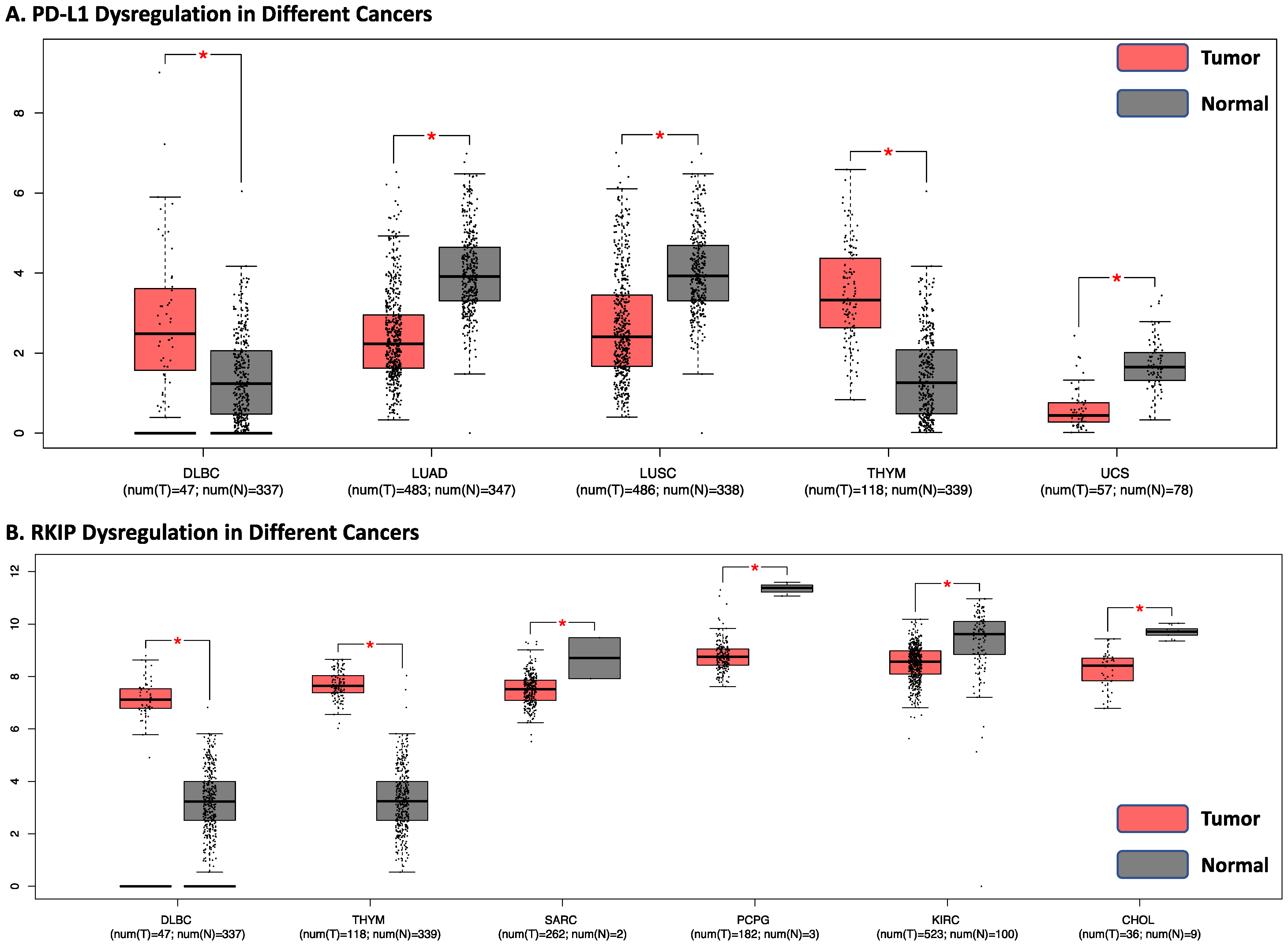 Cells 13 00864 g006 Cells 13 00864 g006