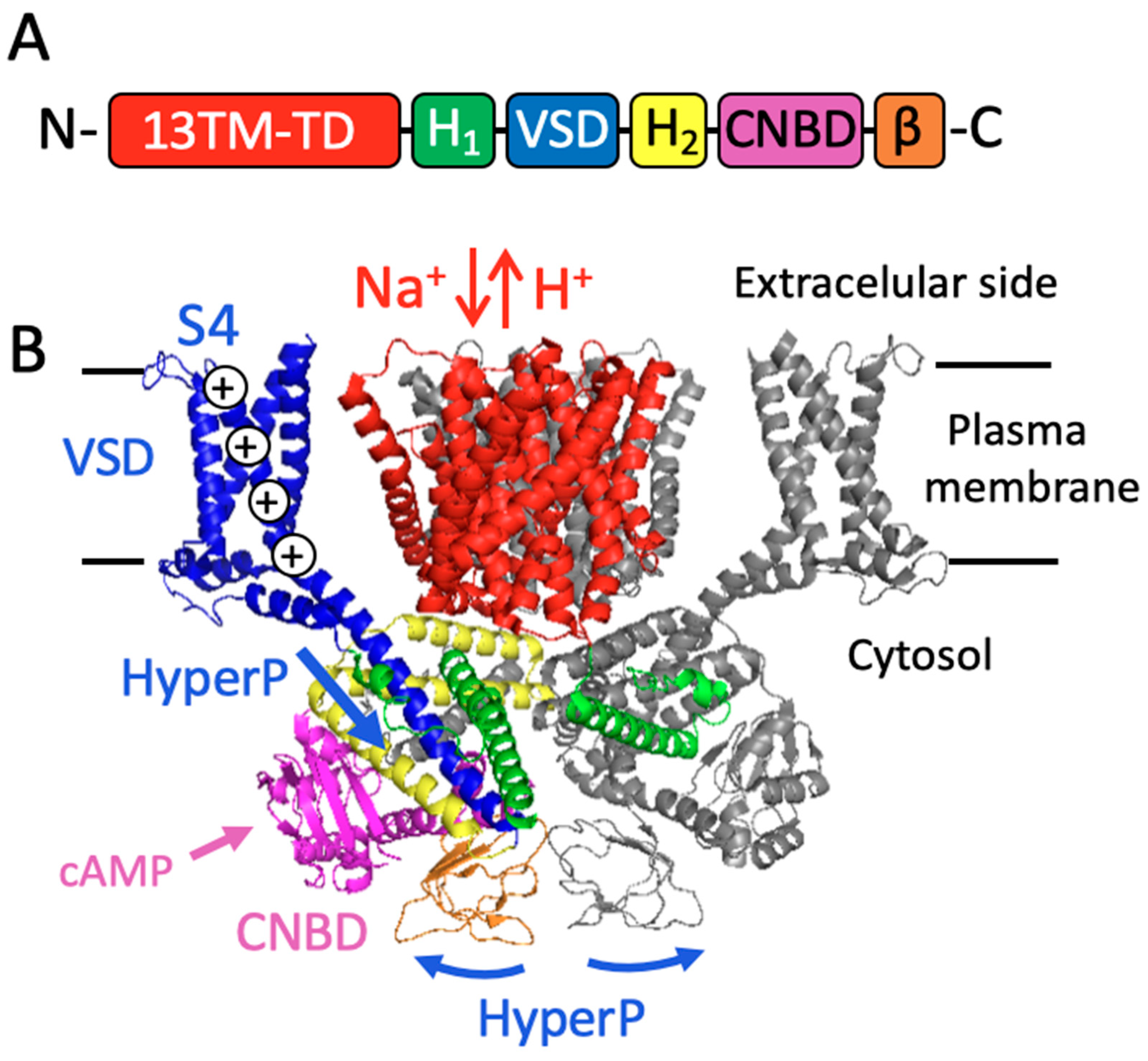 Cells 13 00865 g002 Cells 13 00865 g002