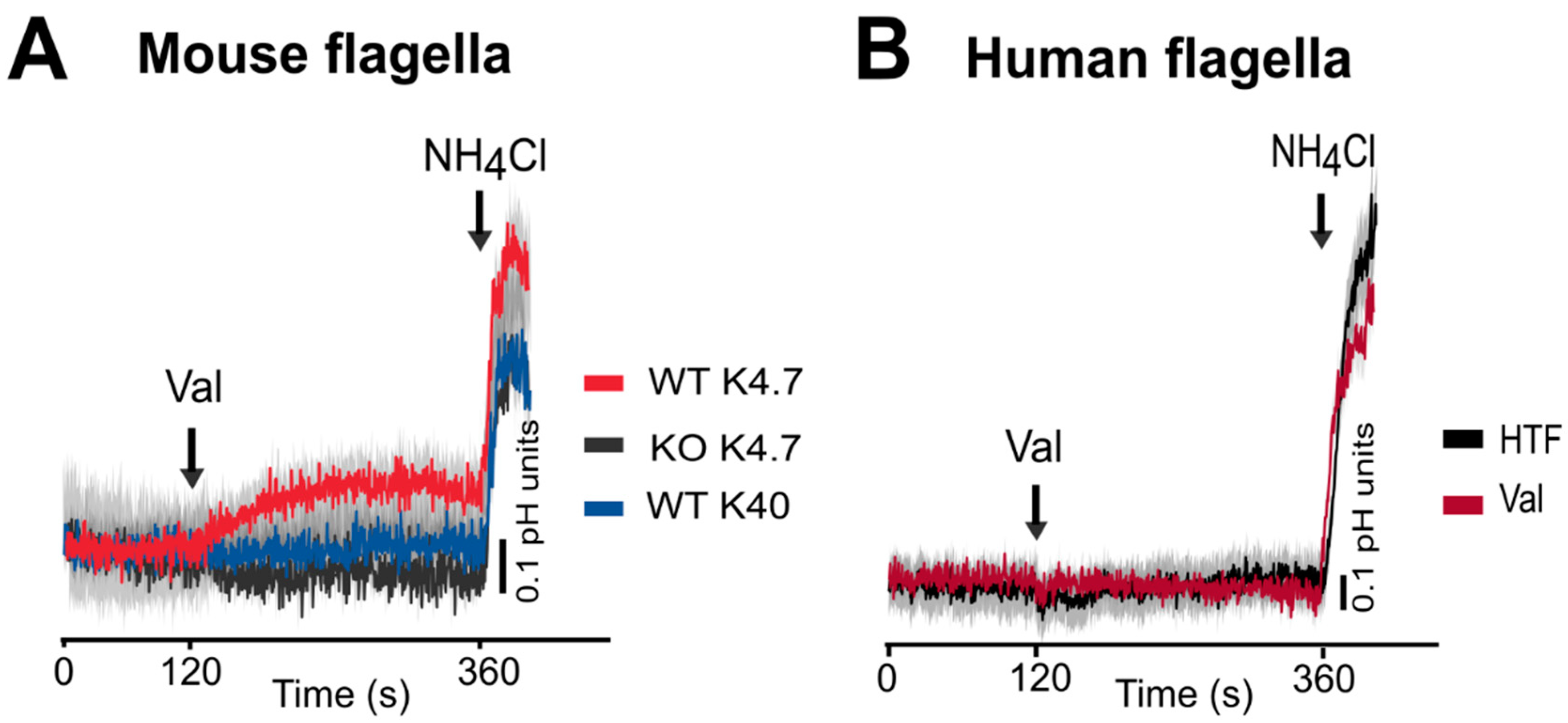 Cells 13 00865 g003 Cells 13 00865 g003