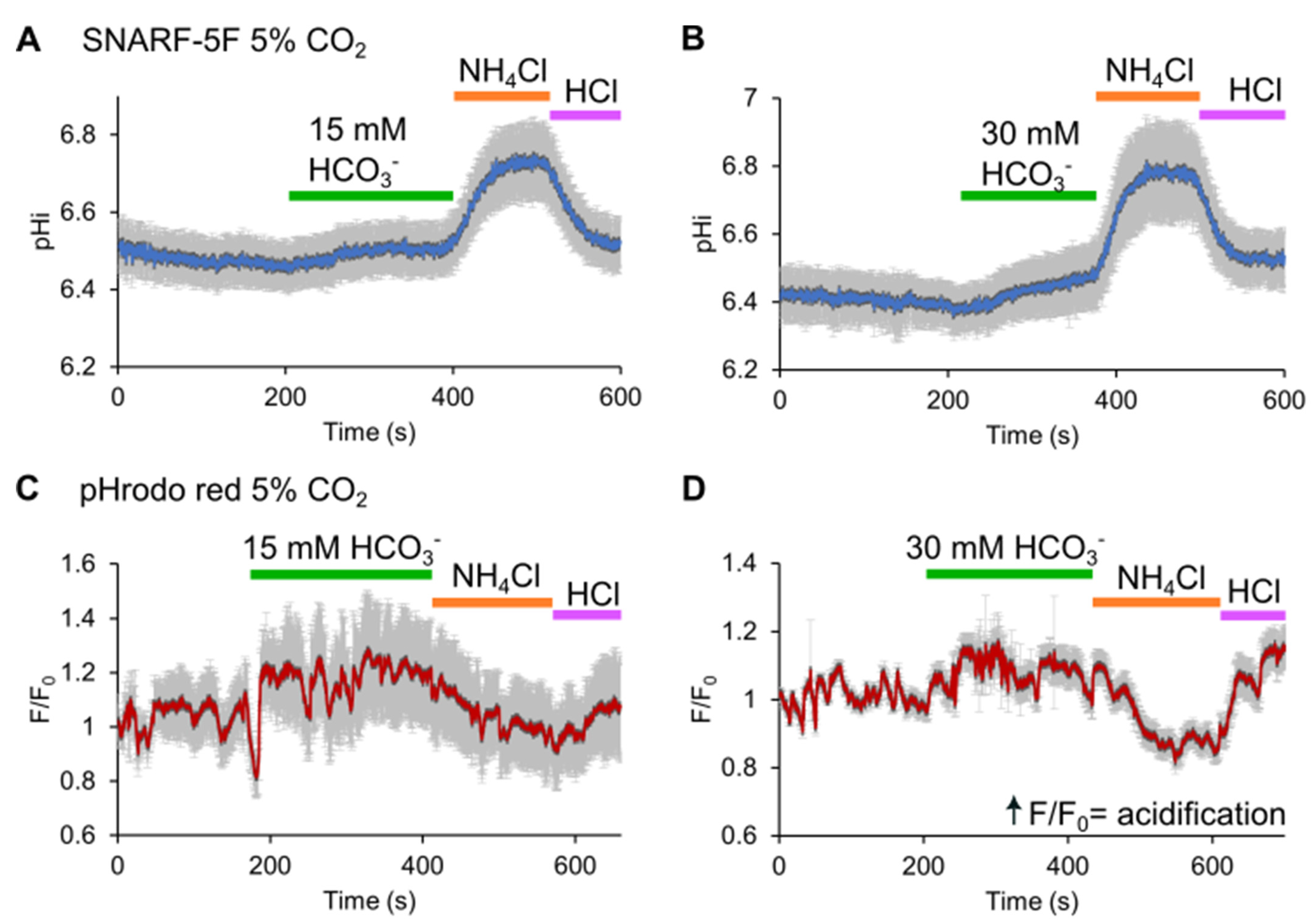 Cells 13 00865 g004 Cells 13 00865 g004