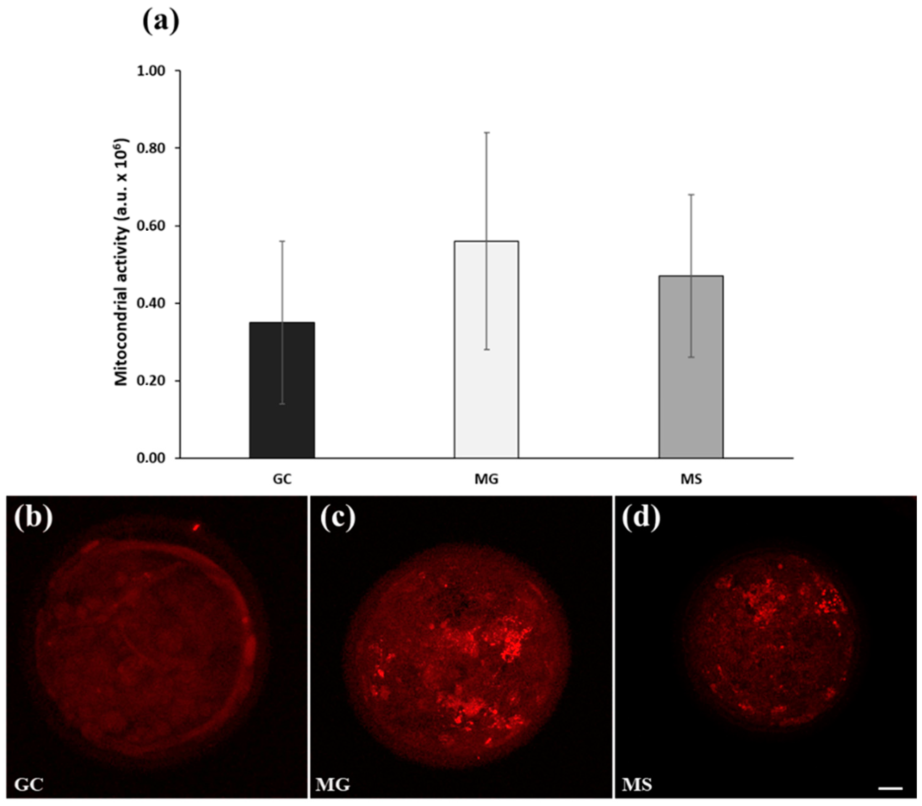 Cells 13 00868 g005