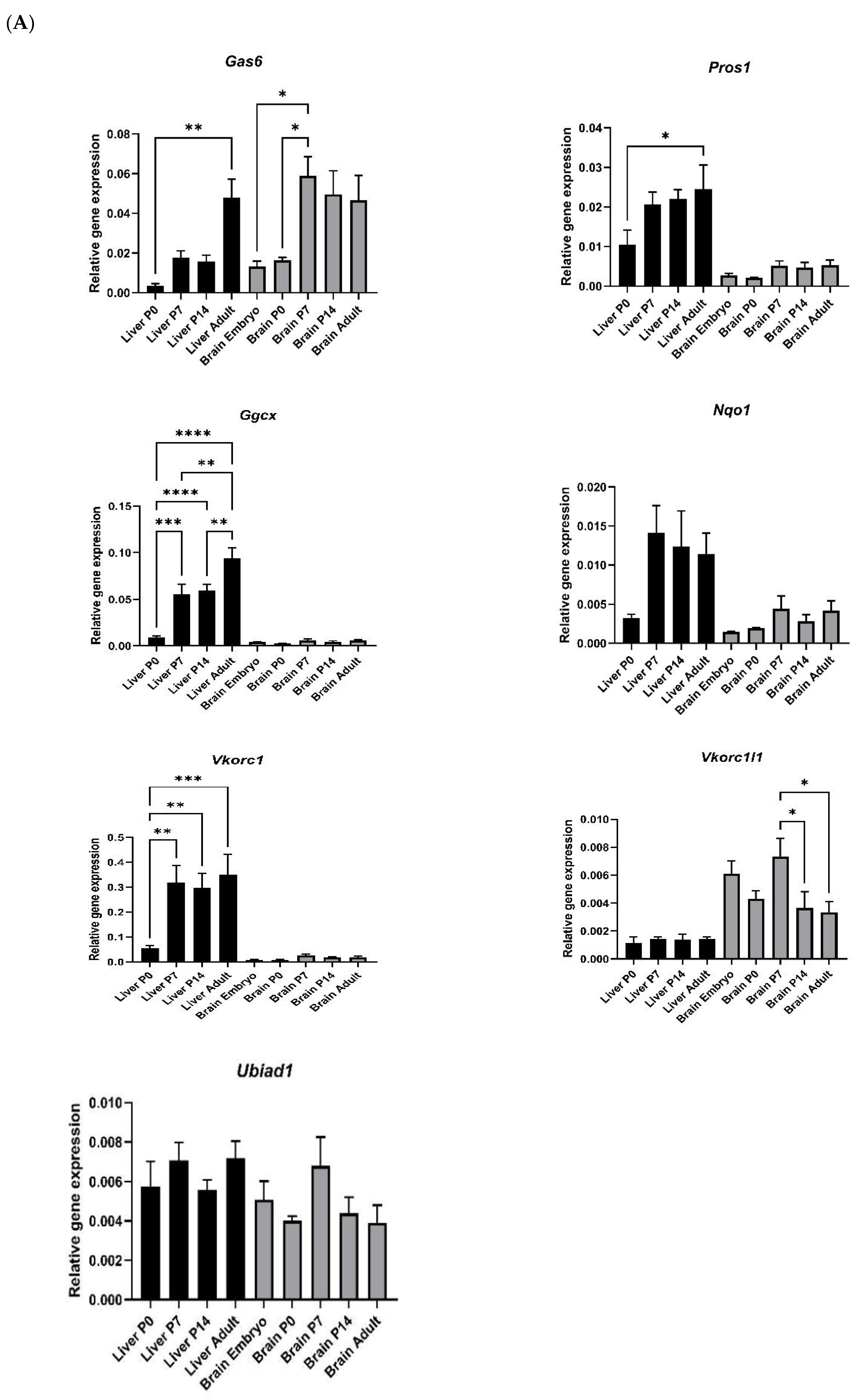 Cells 13 00873 g003a