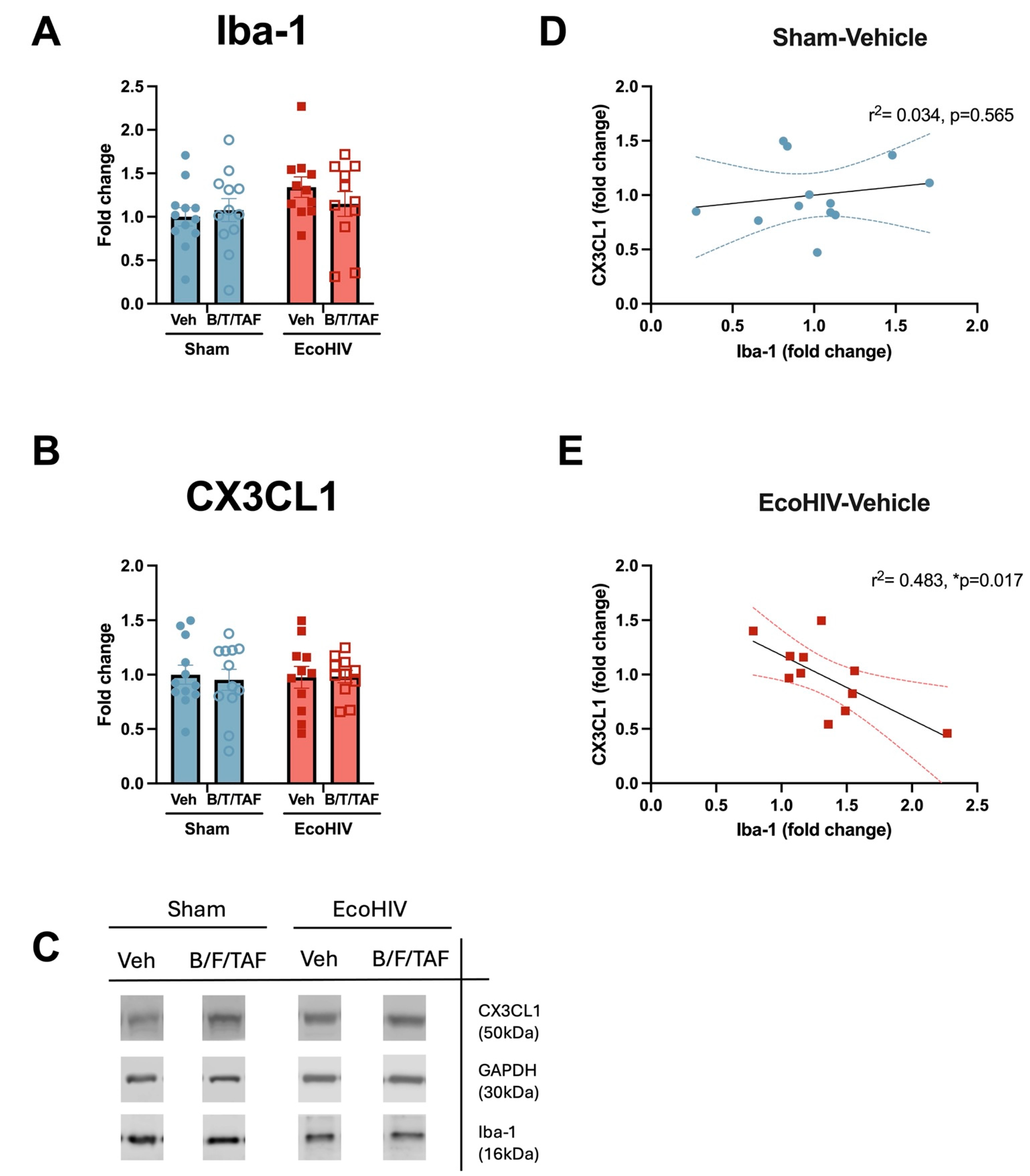 Cells 13 00882 g005 Cells 13 00882 g005