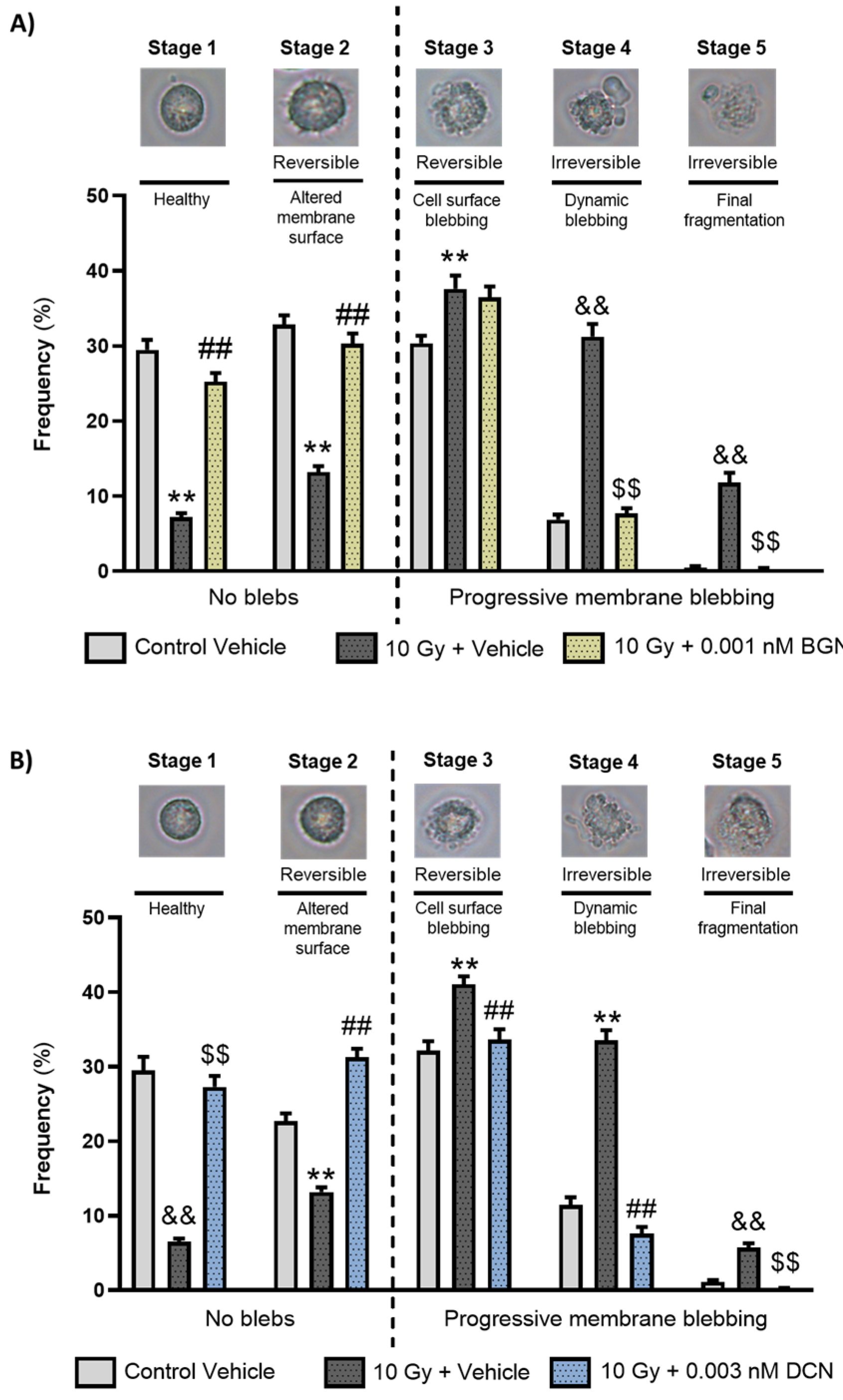 Cells 13 00883 g002 Cells 13 00883 g002