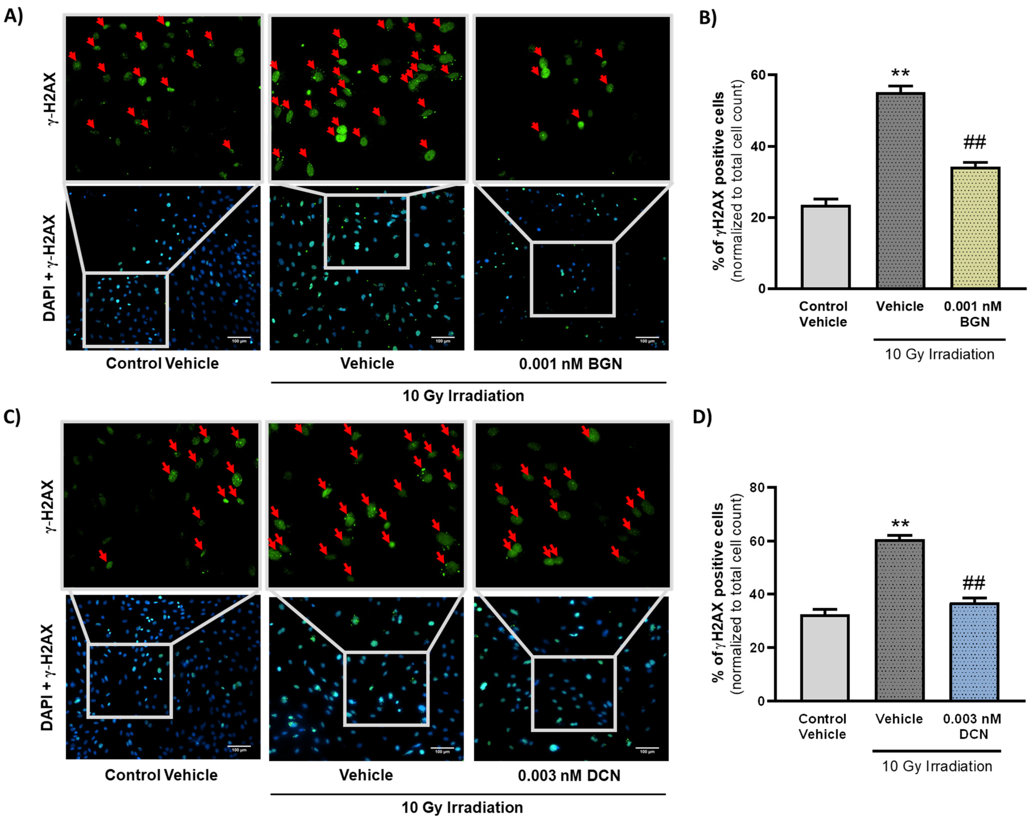 Cells 13 00883 g004 Cells 13 00883 g004