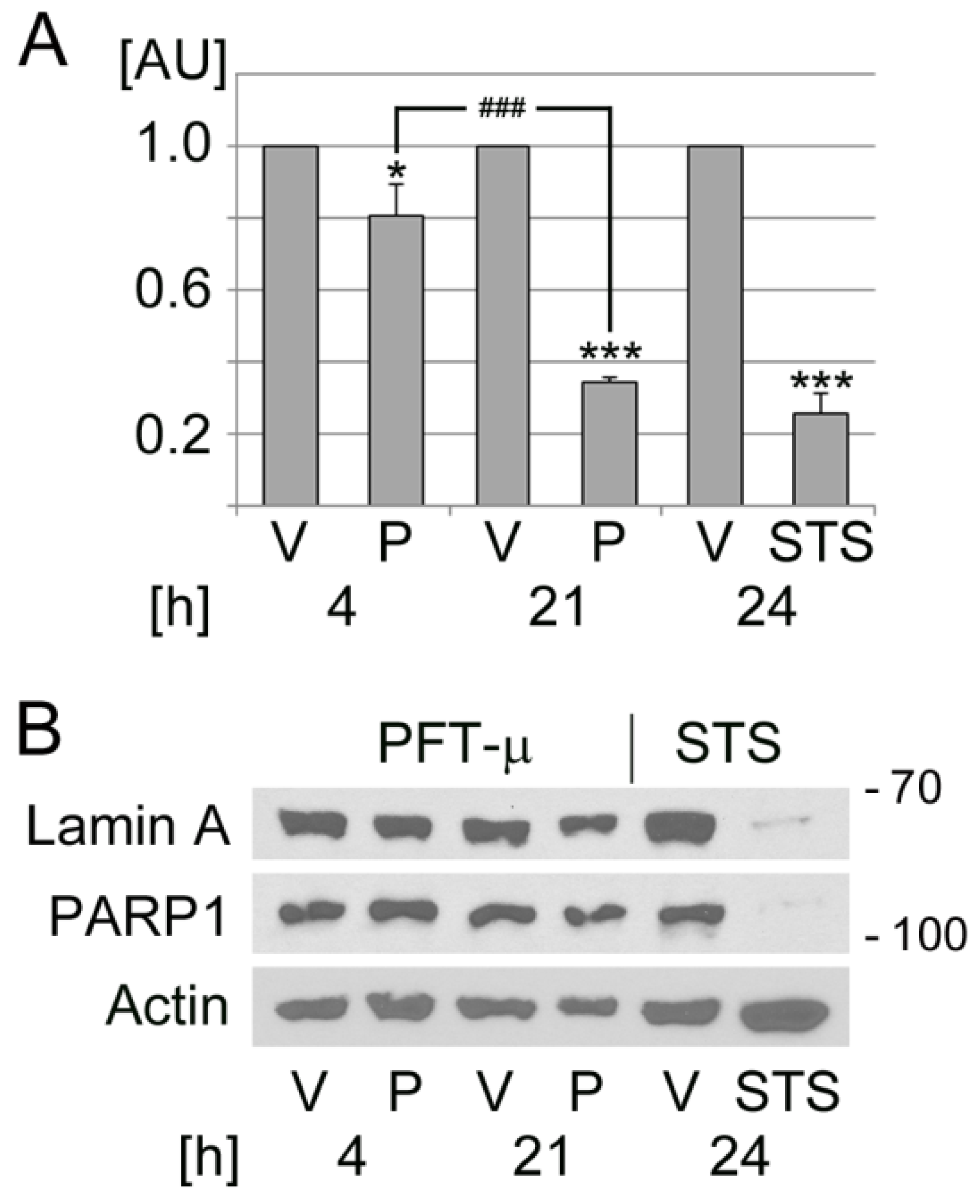 Cells 13 00885 g006 Cells 13 00885 g006