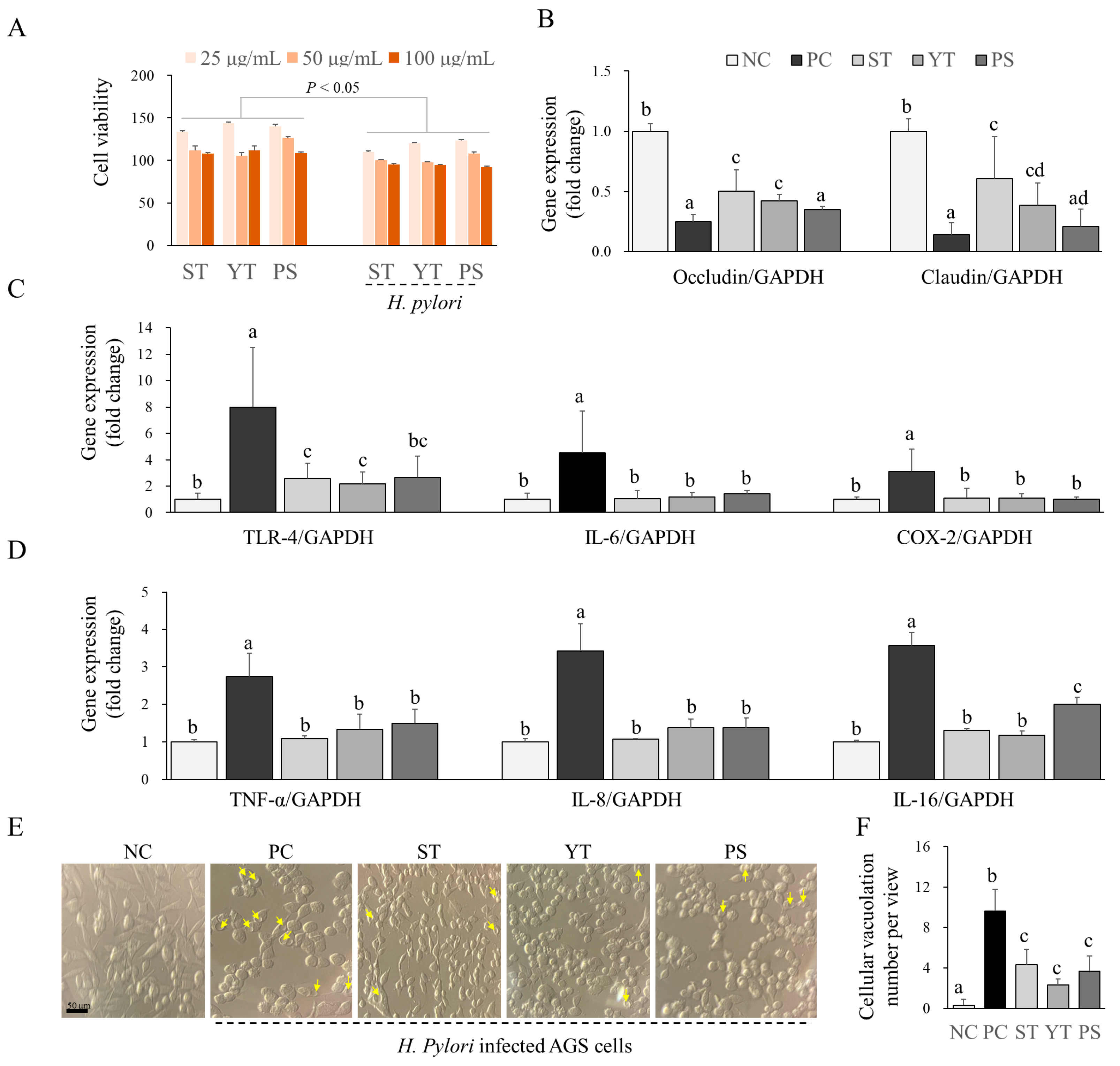 Cells 13 00901 g004 Cells 13 00901 g004