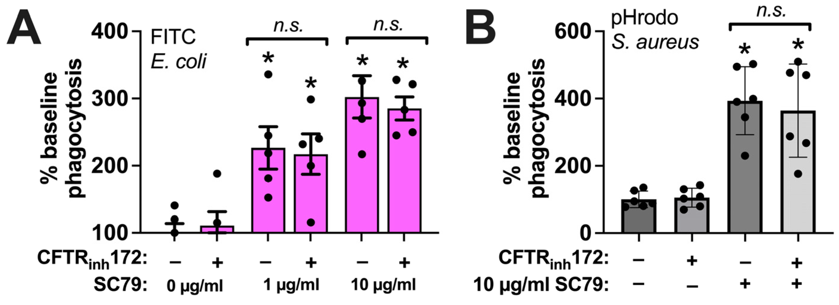 Cells 13 00902 g007 Cells 13 00902 g007