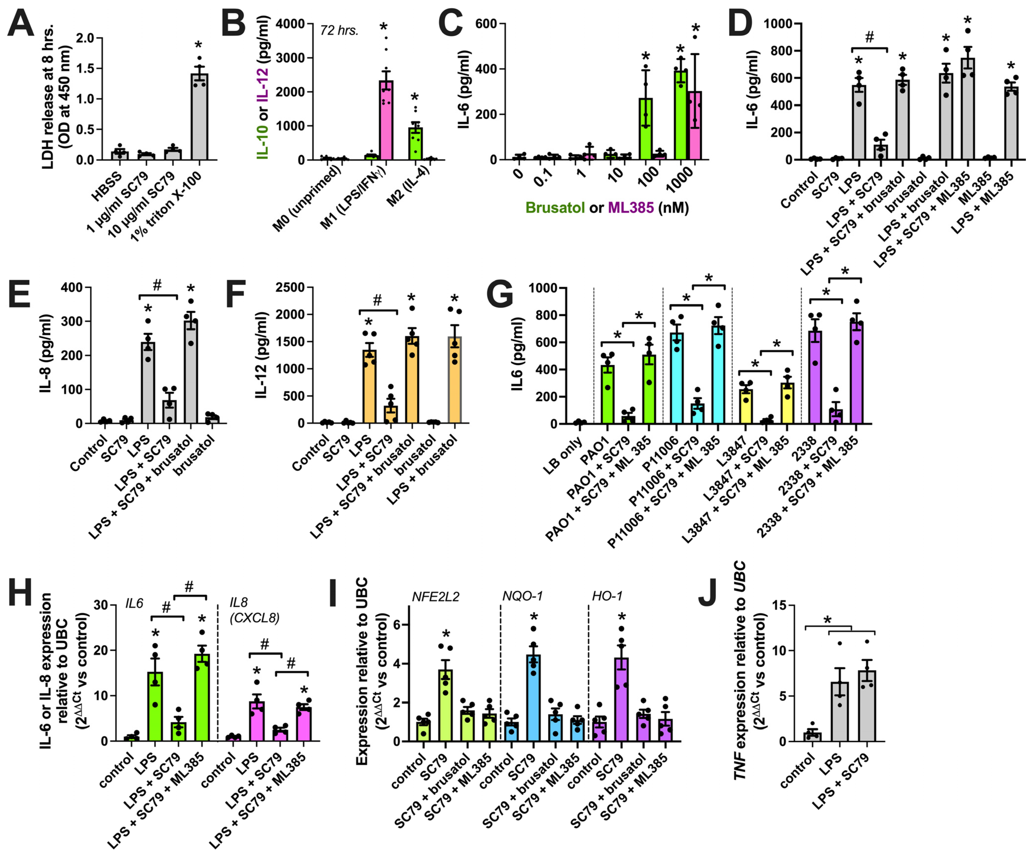 Cells 13 00902 g009 Cells 13 00902 g009