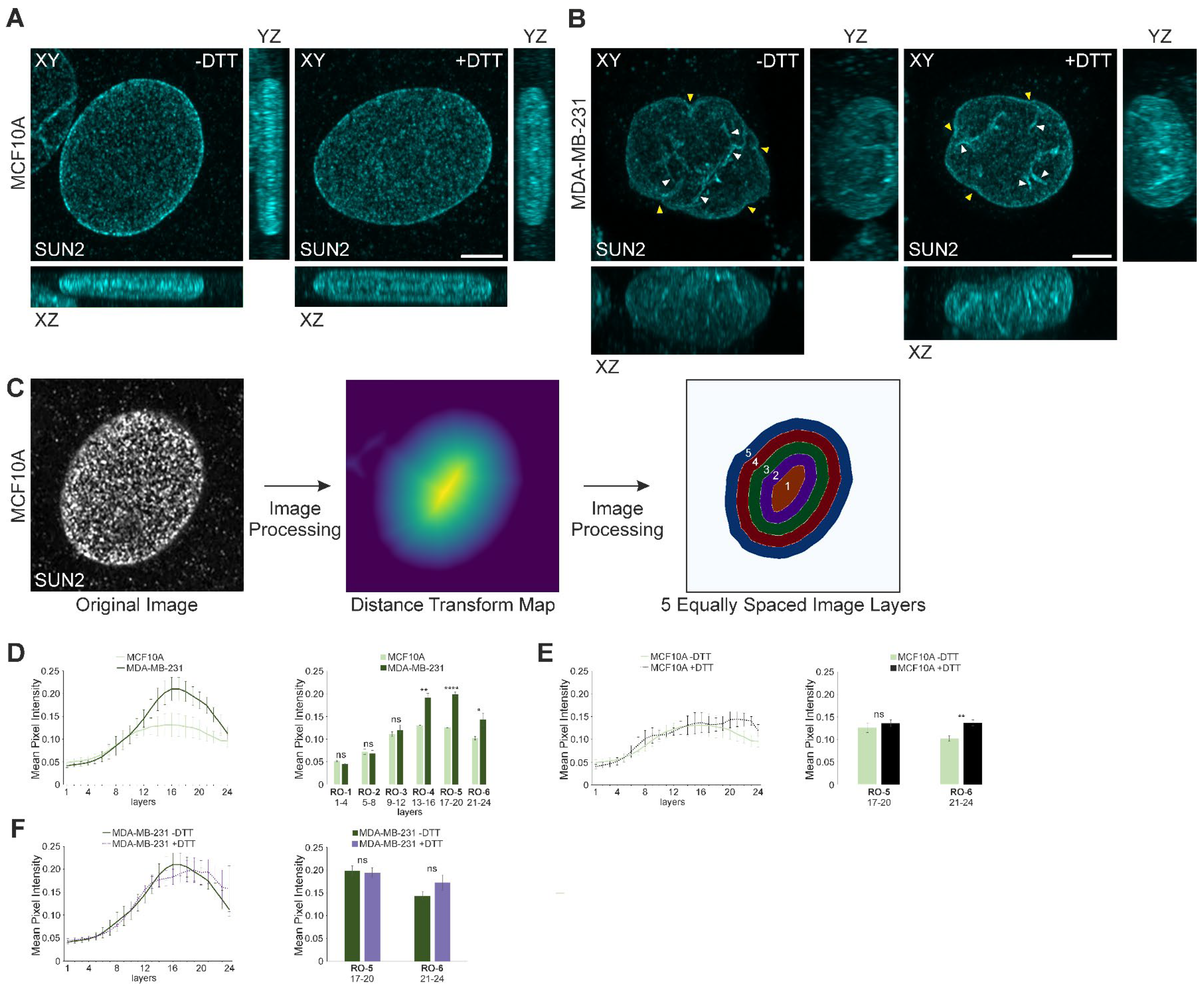 Cells 13 00906 g002