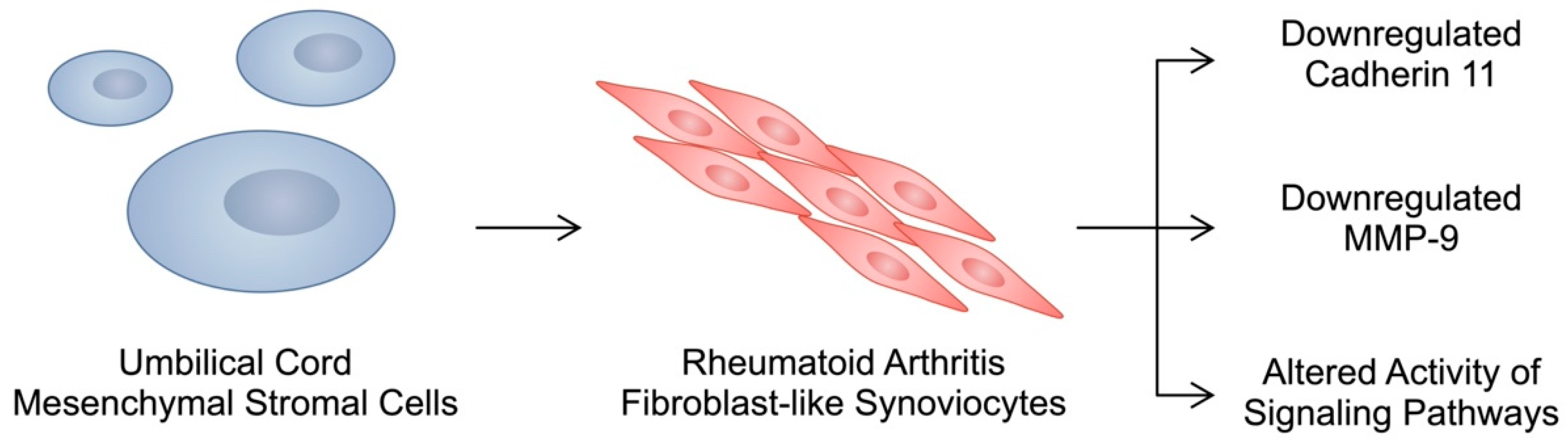 Cells 13 00915 g001 Cells 13 00915 g001