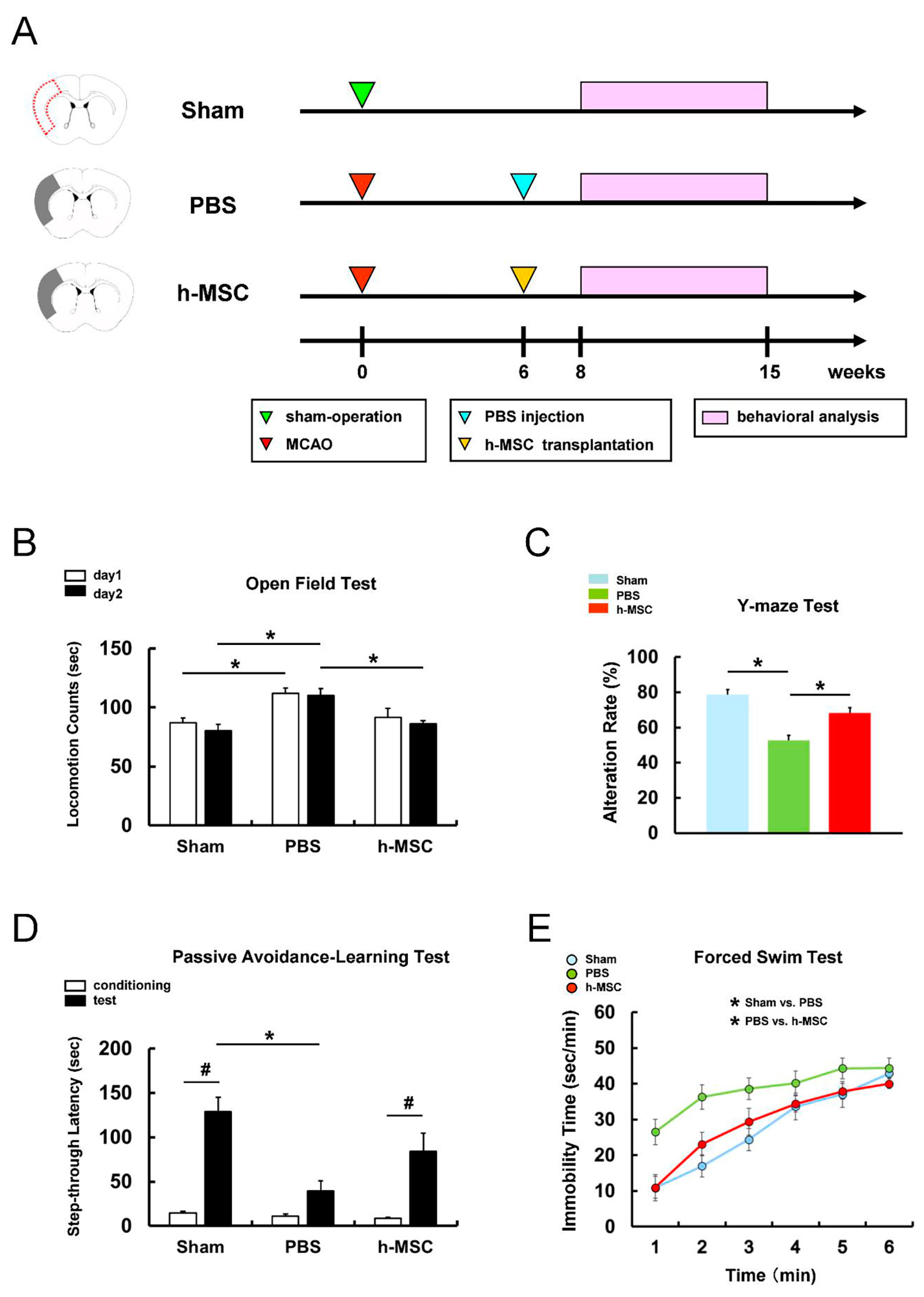 Cells 13 00939 g001 Cells 13 00939 g001