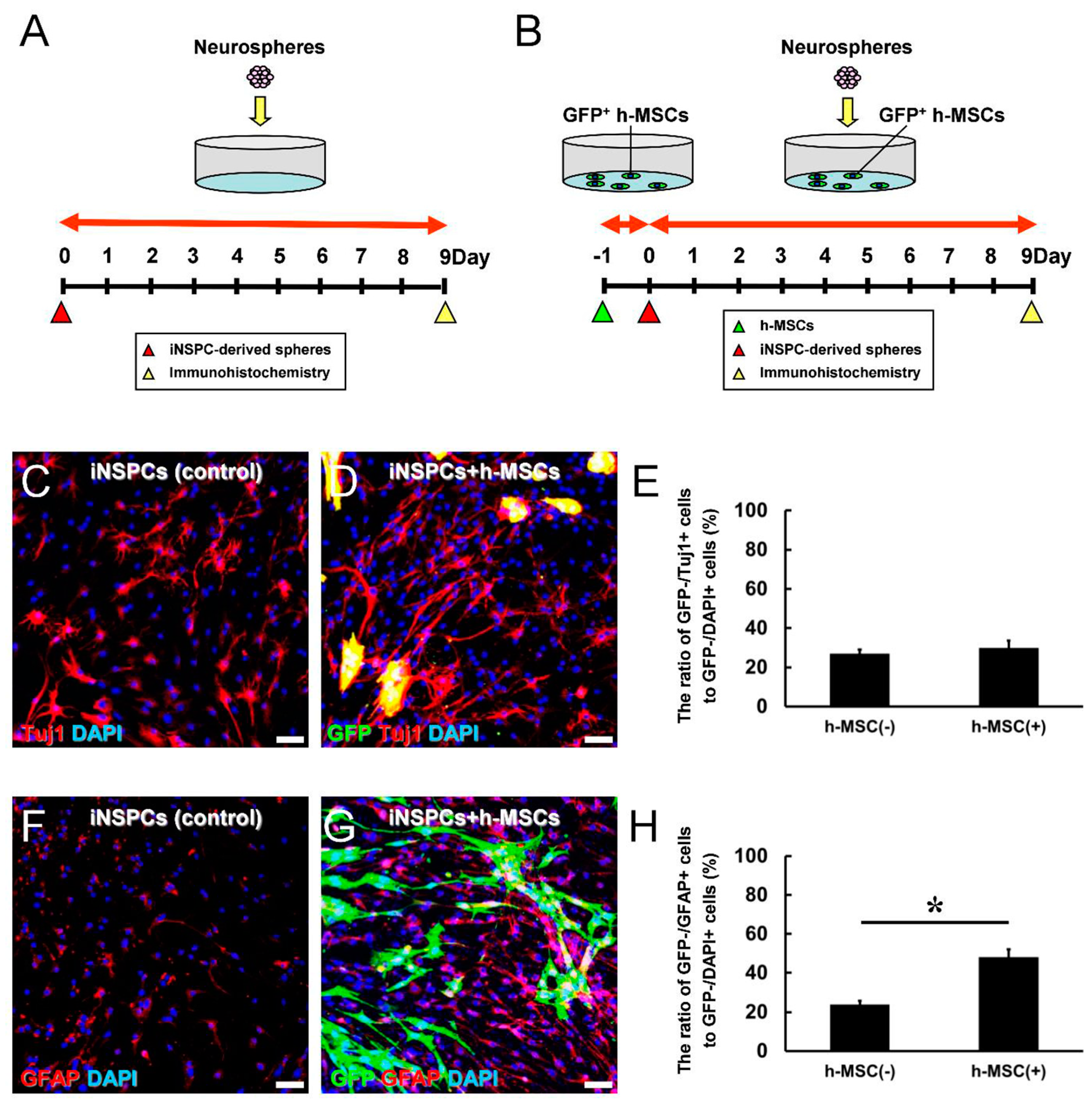 Cells 13 00939 g005 Cells 13 00939 g005