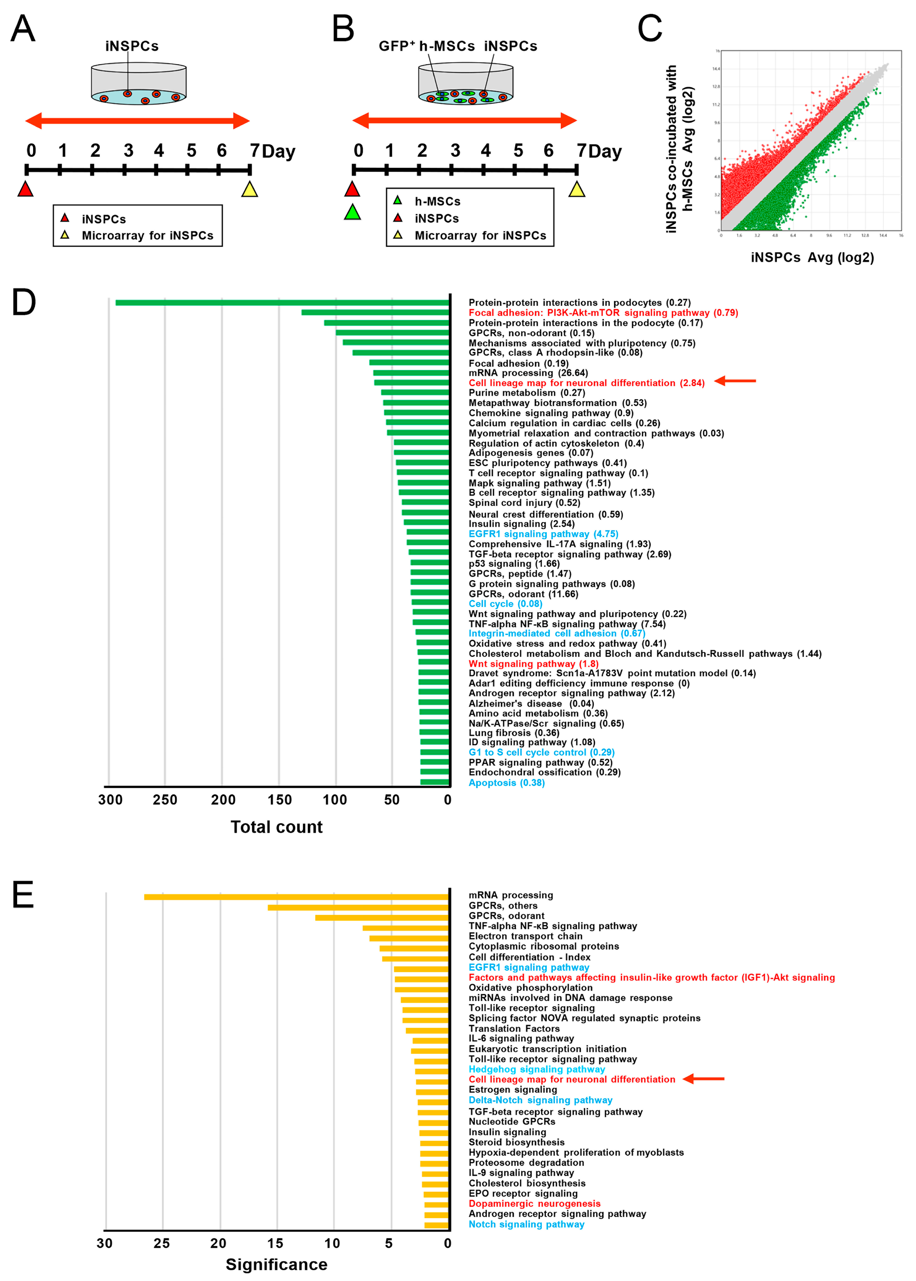 Cells 13 00939 g006 Cells 13 00939 g006