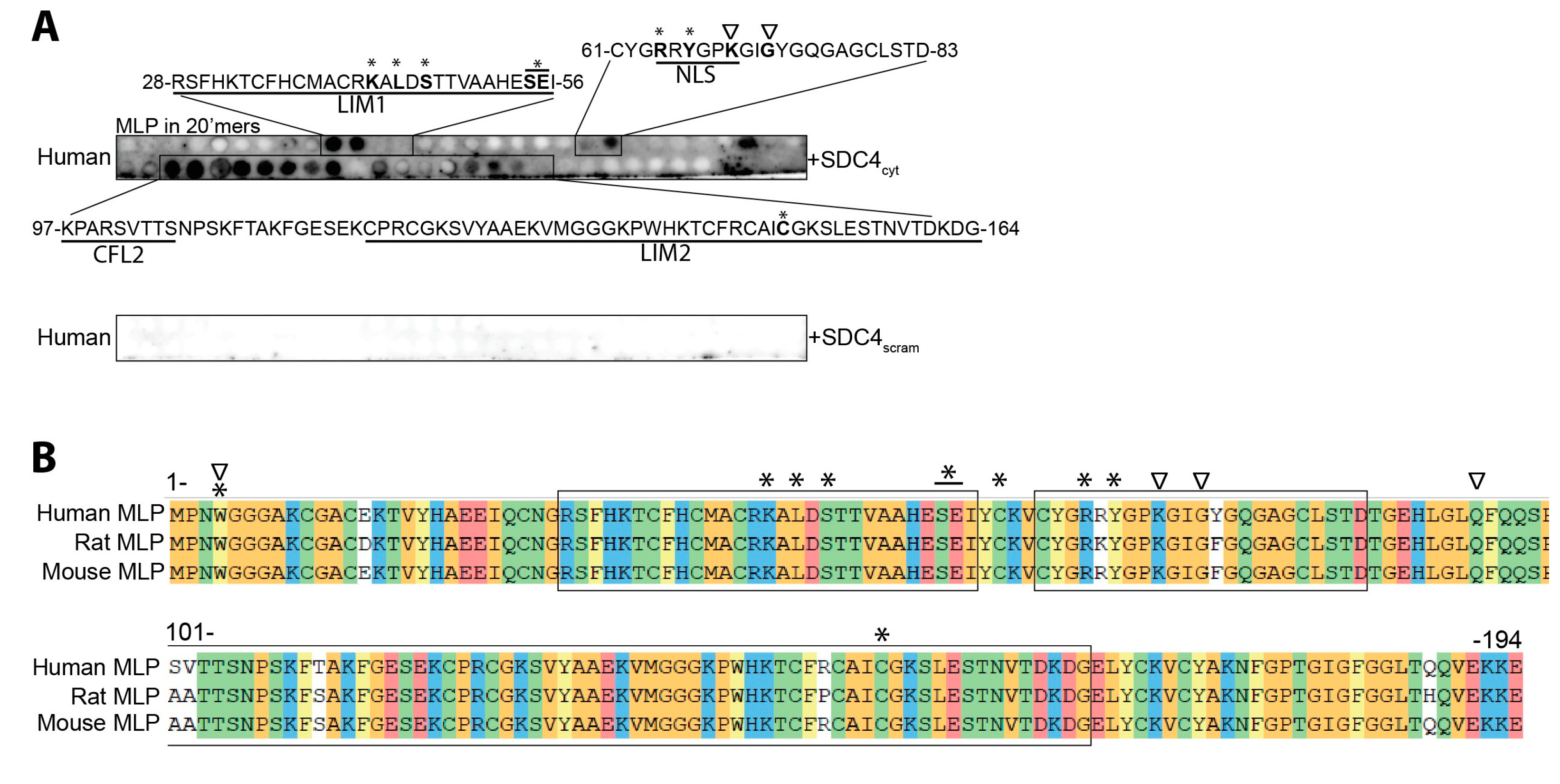 Cells 13 00947 g002a