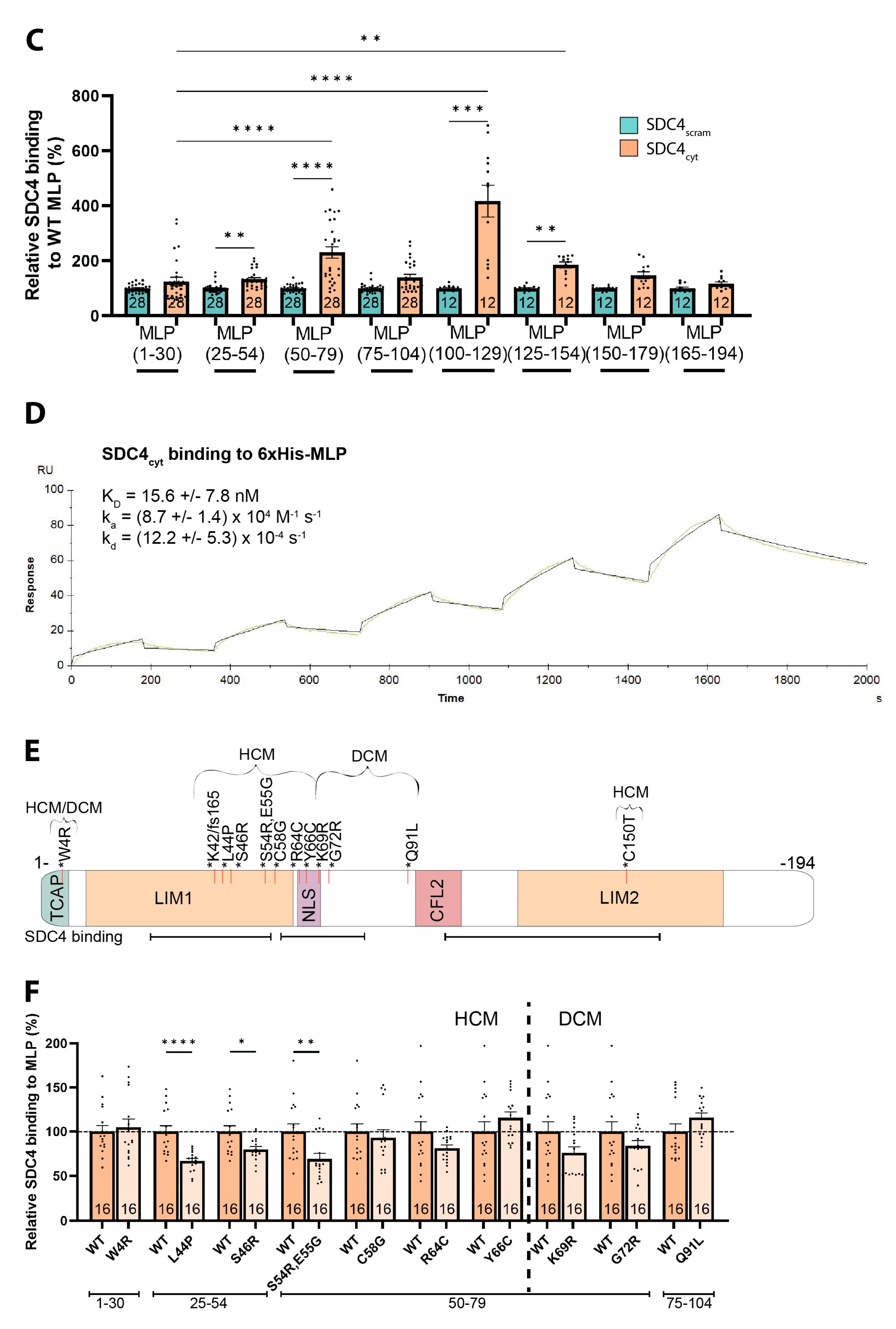 Cells 13 00947 g002b