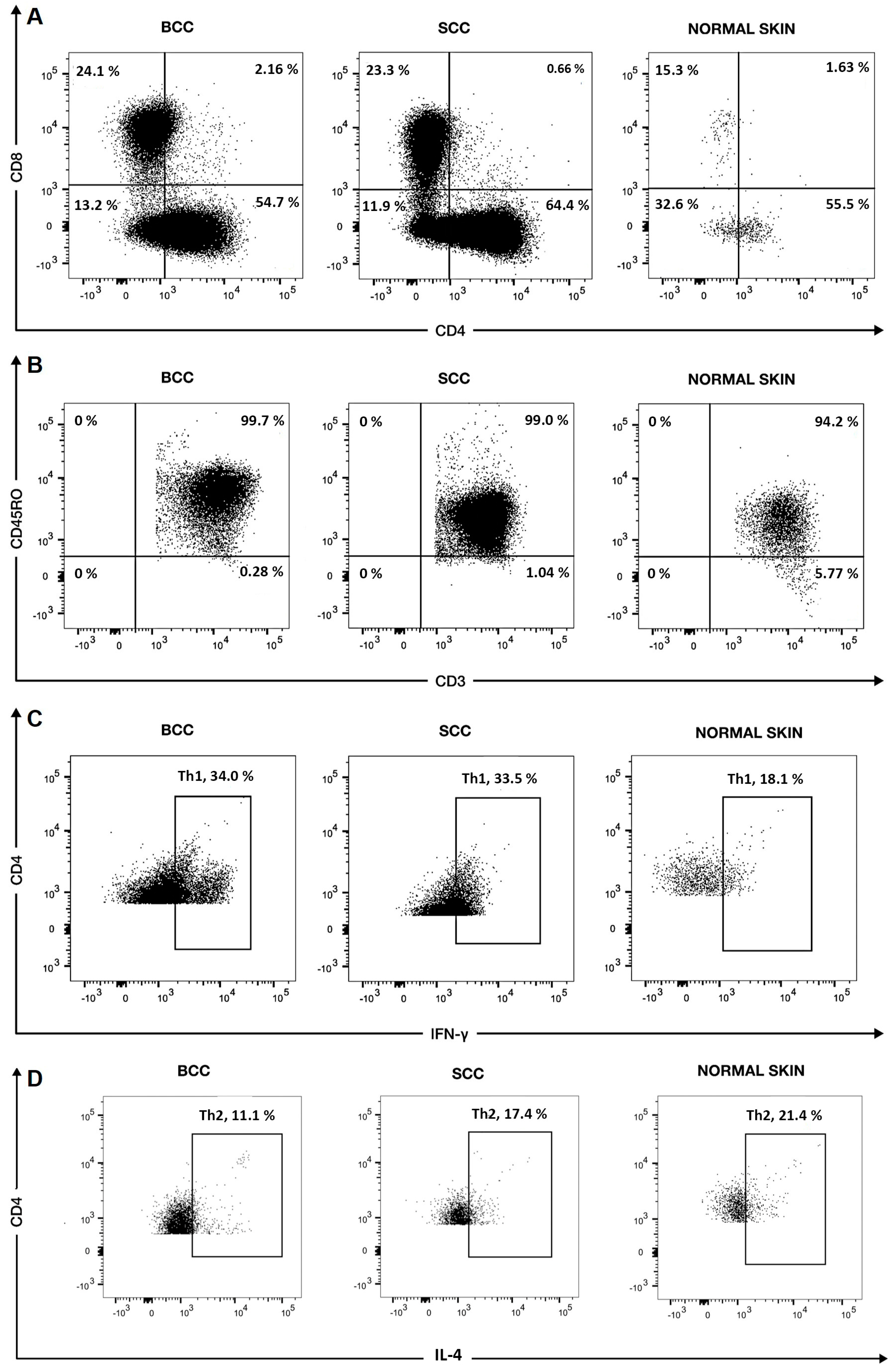 Cells 13 00964 g001a