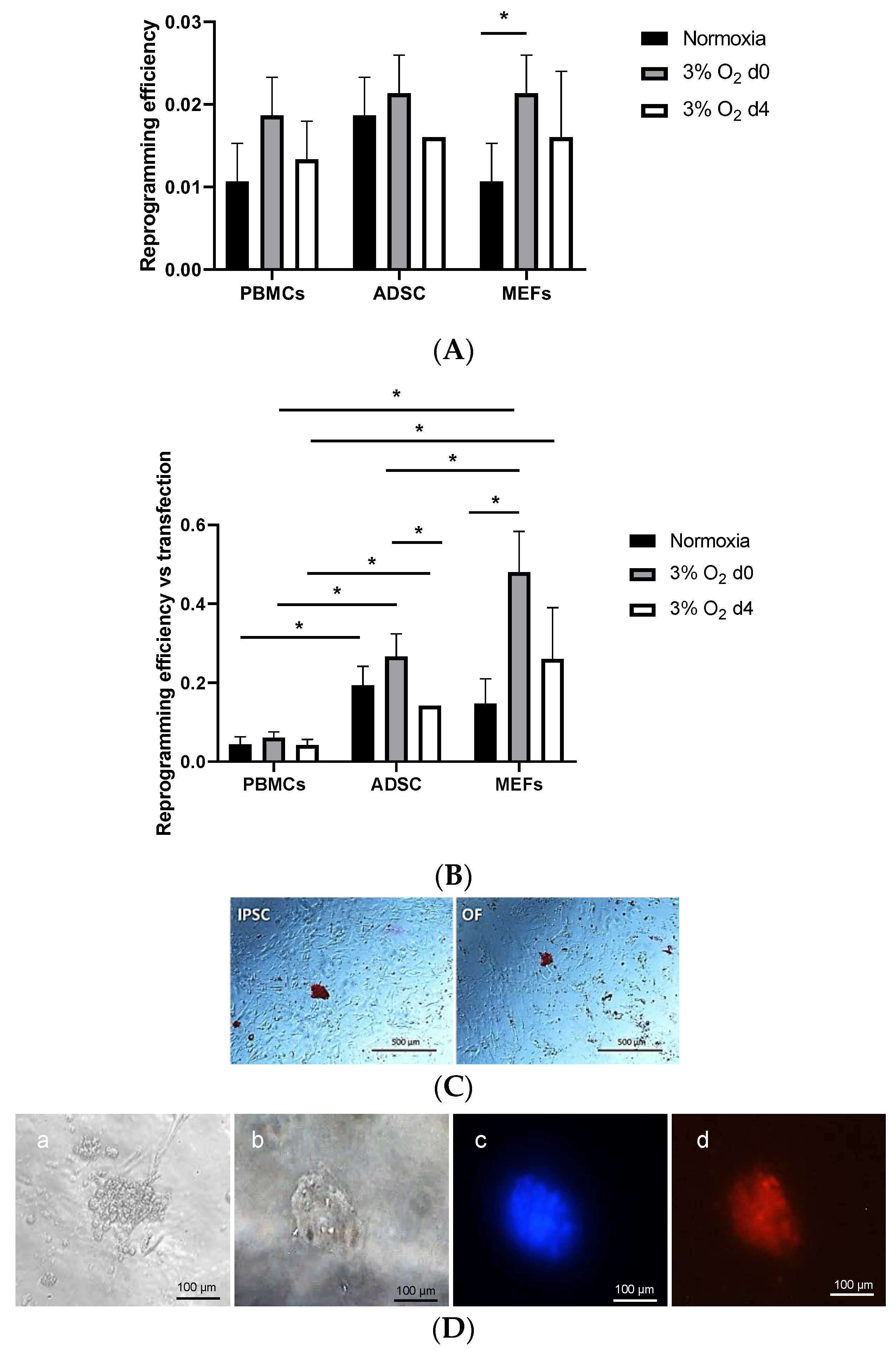 Hypoxia Increases the Efficiencies of Cellular ... Biology Diagrams