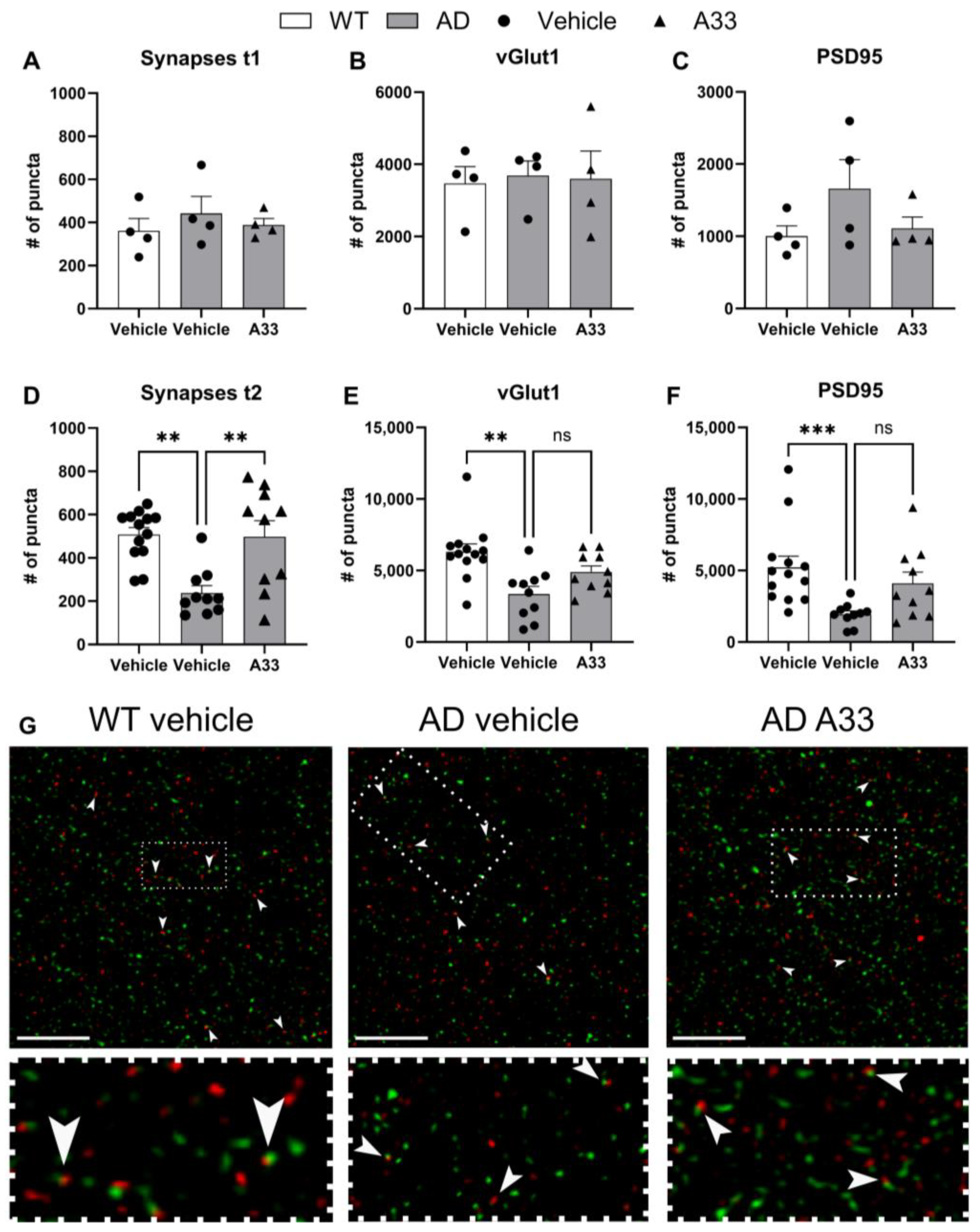 Cells 13 01000 g003 Cells 13 01000 g003