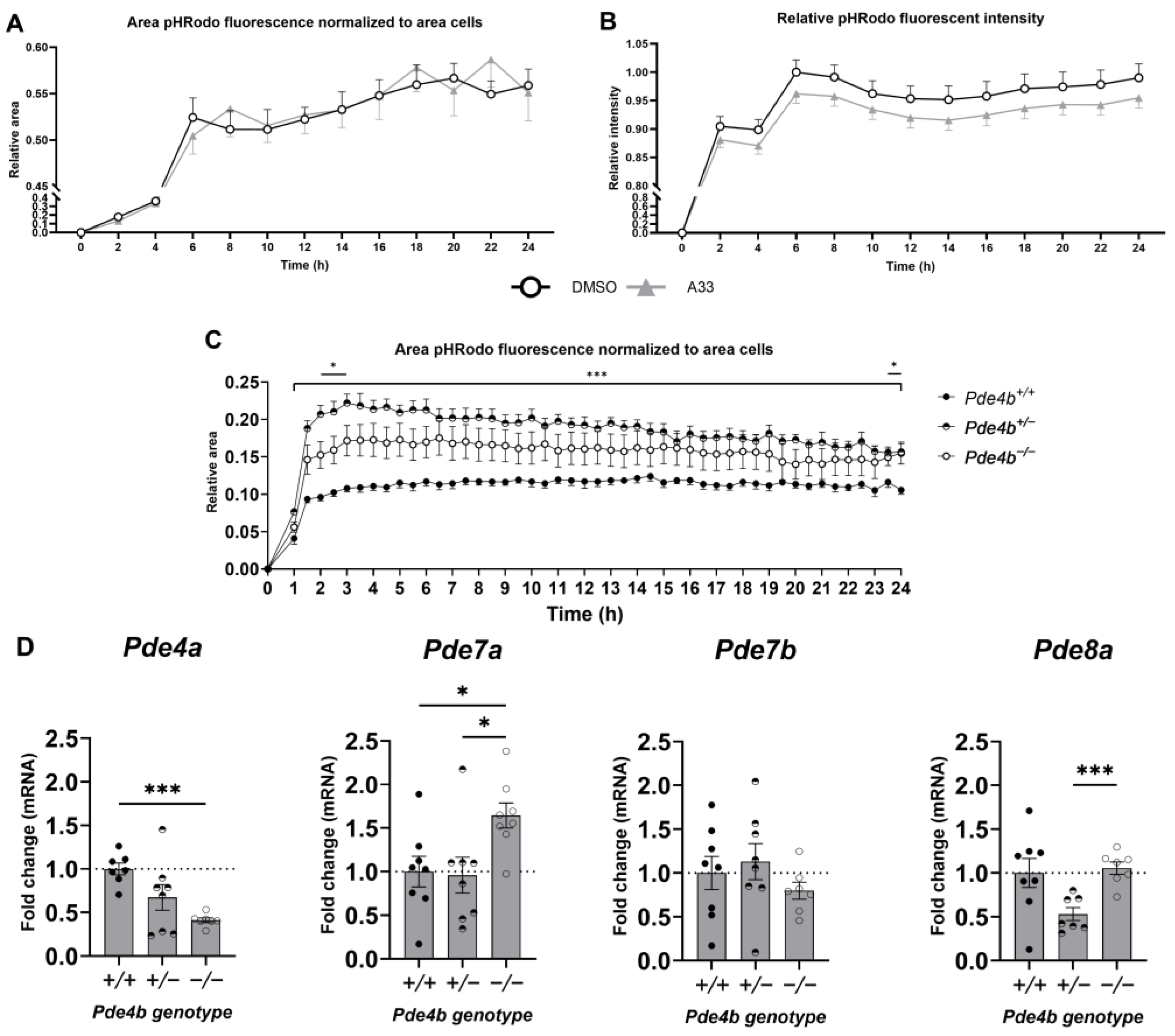 Cells 13 01000 g005 Cells 13 01000 g005