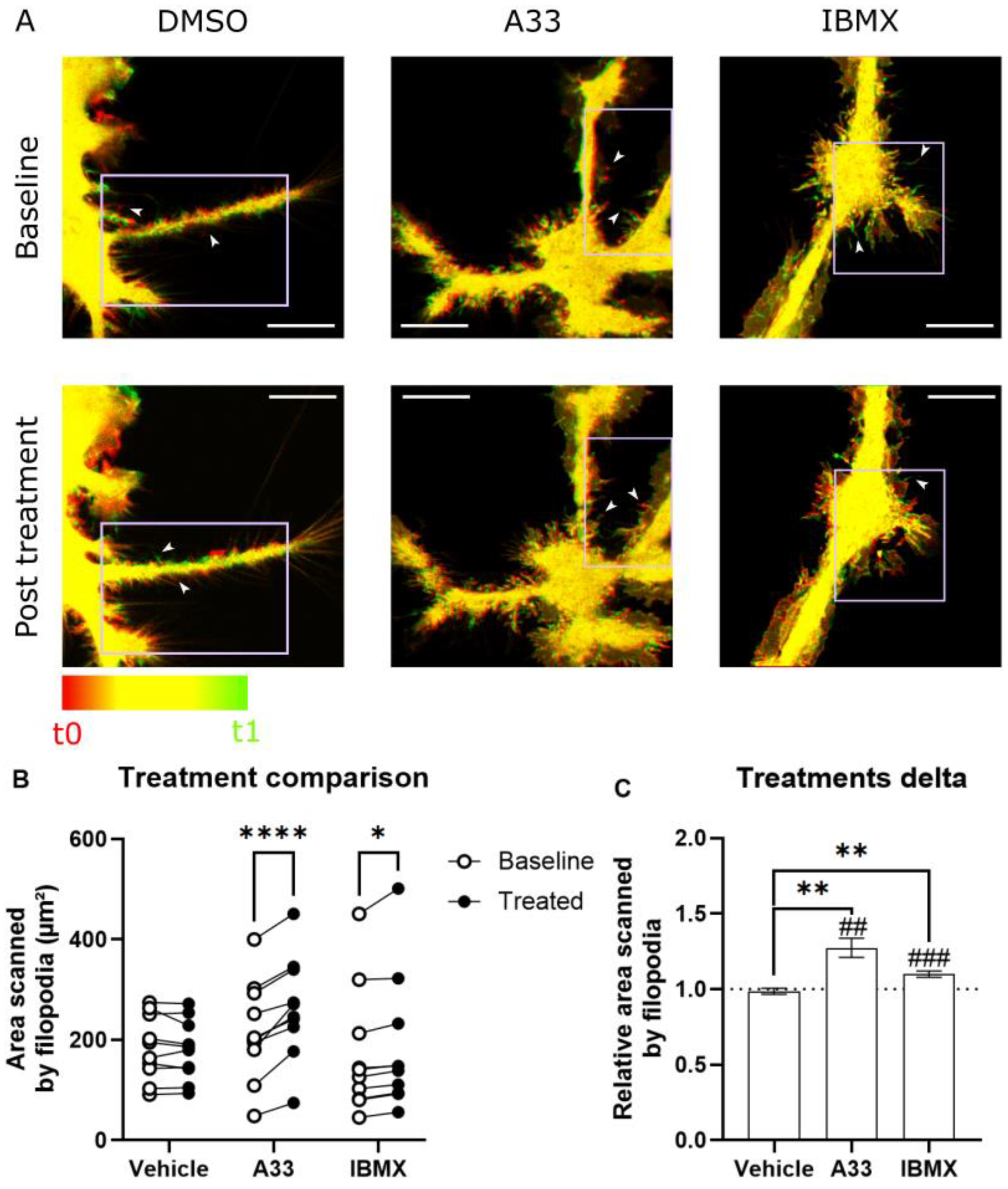 Cells 13 01000 g006 Cells 13 01000 g006