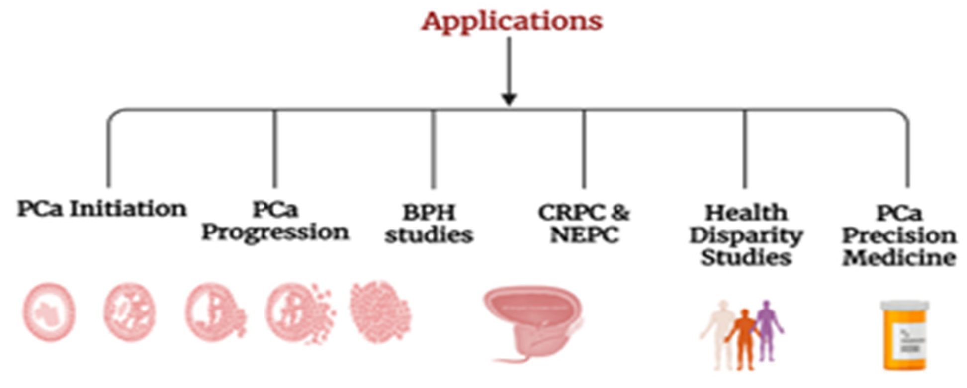 Cells 13 01005 g001 Cells 13 01005 g001