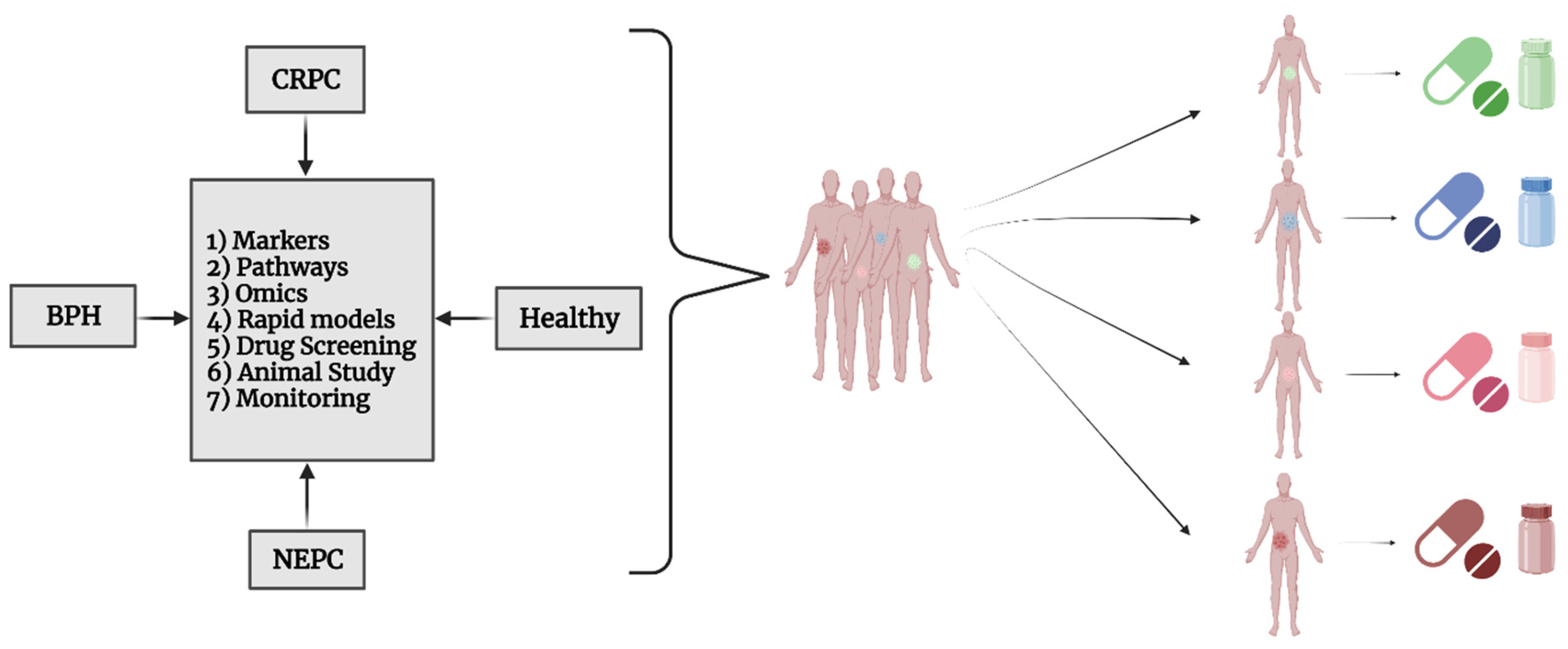 Cells 13 01005 g003 Cells 13 01005 g003
