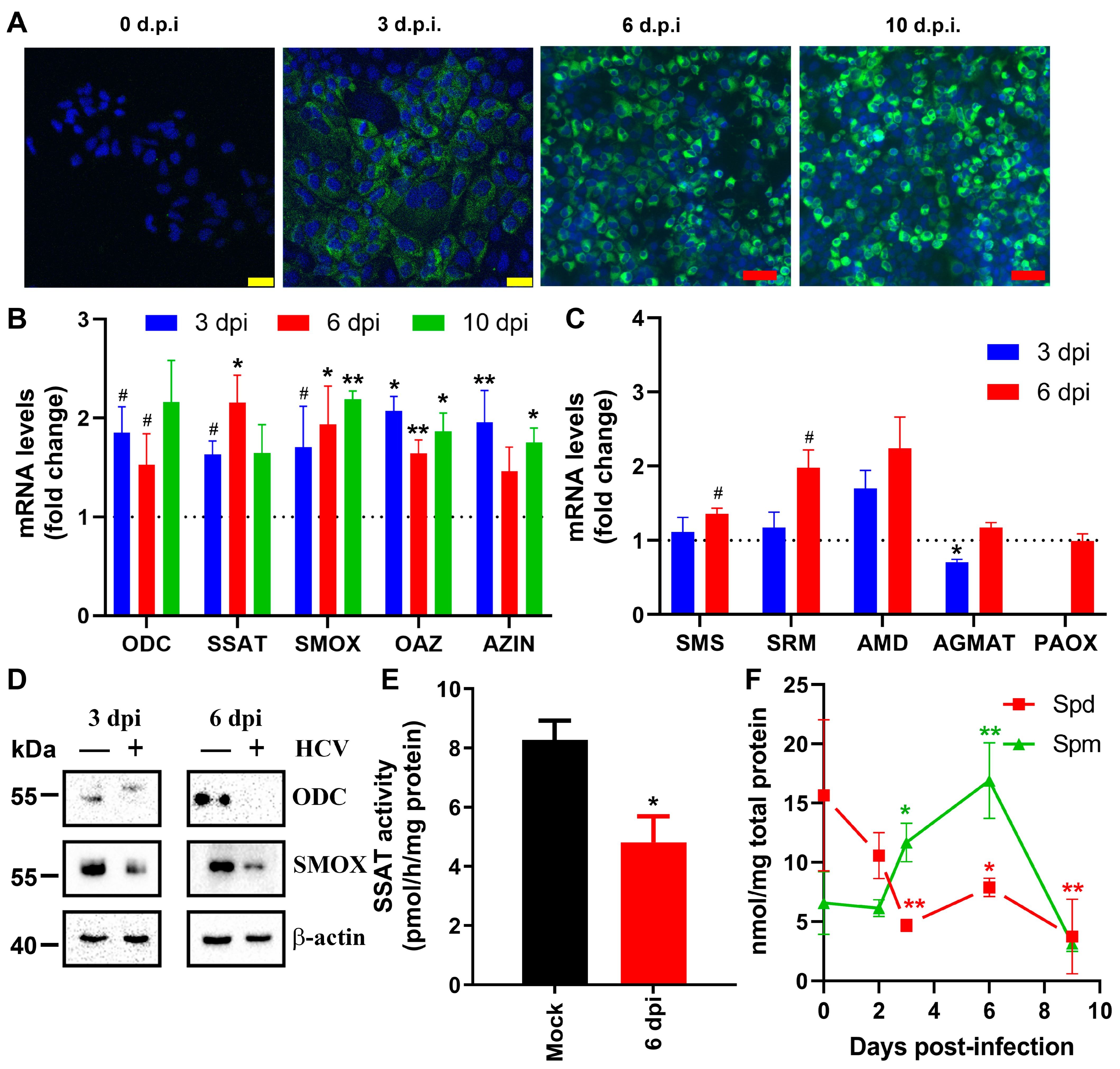 Cells 13 01036 g001 Cells 13 01036 g001