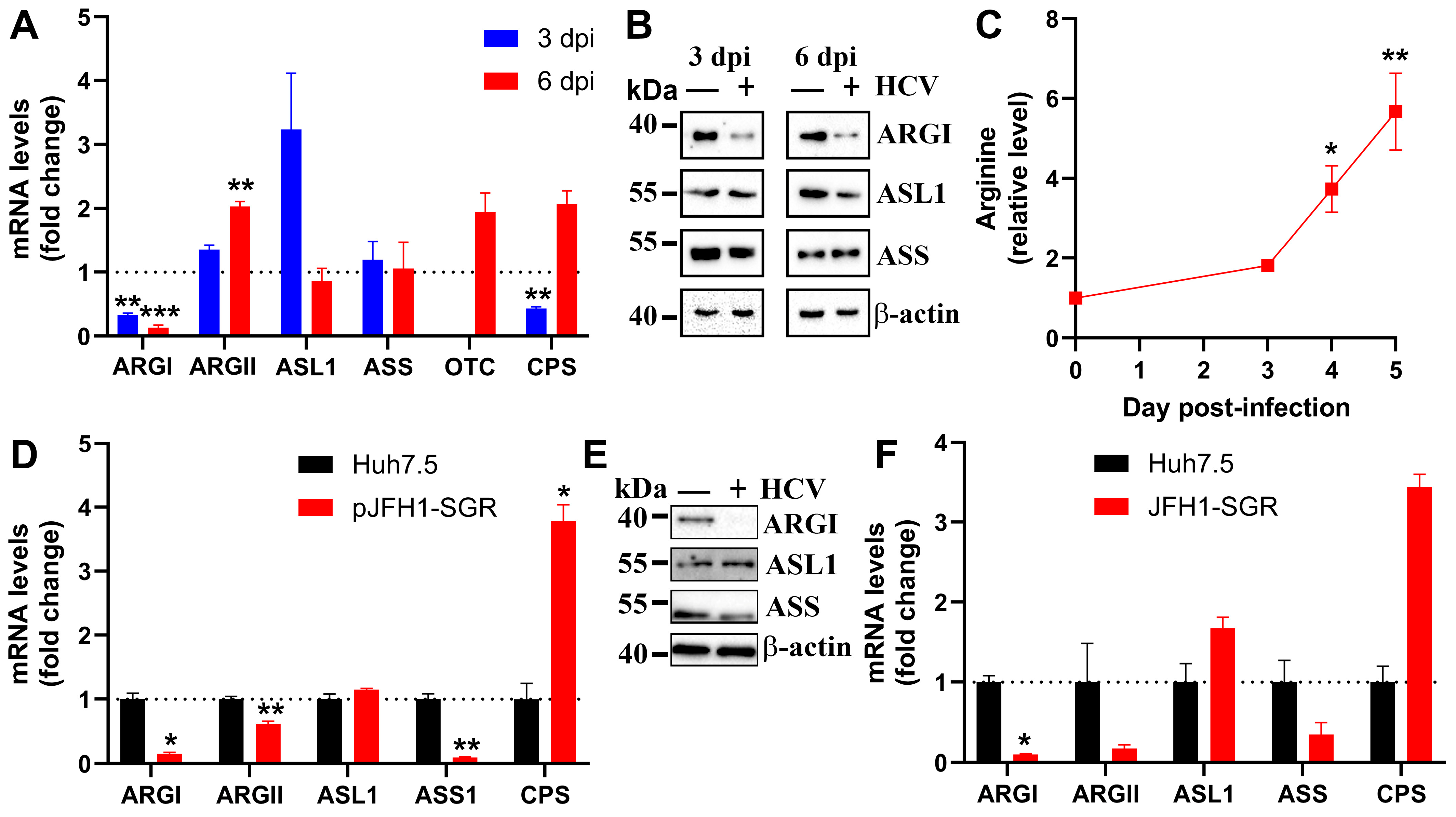 Cells 13 01036 g002 Cells 13 01036 g002