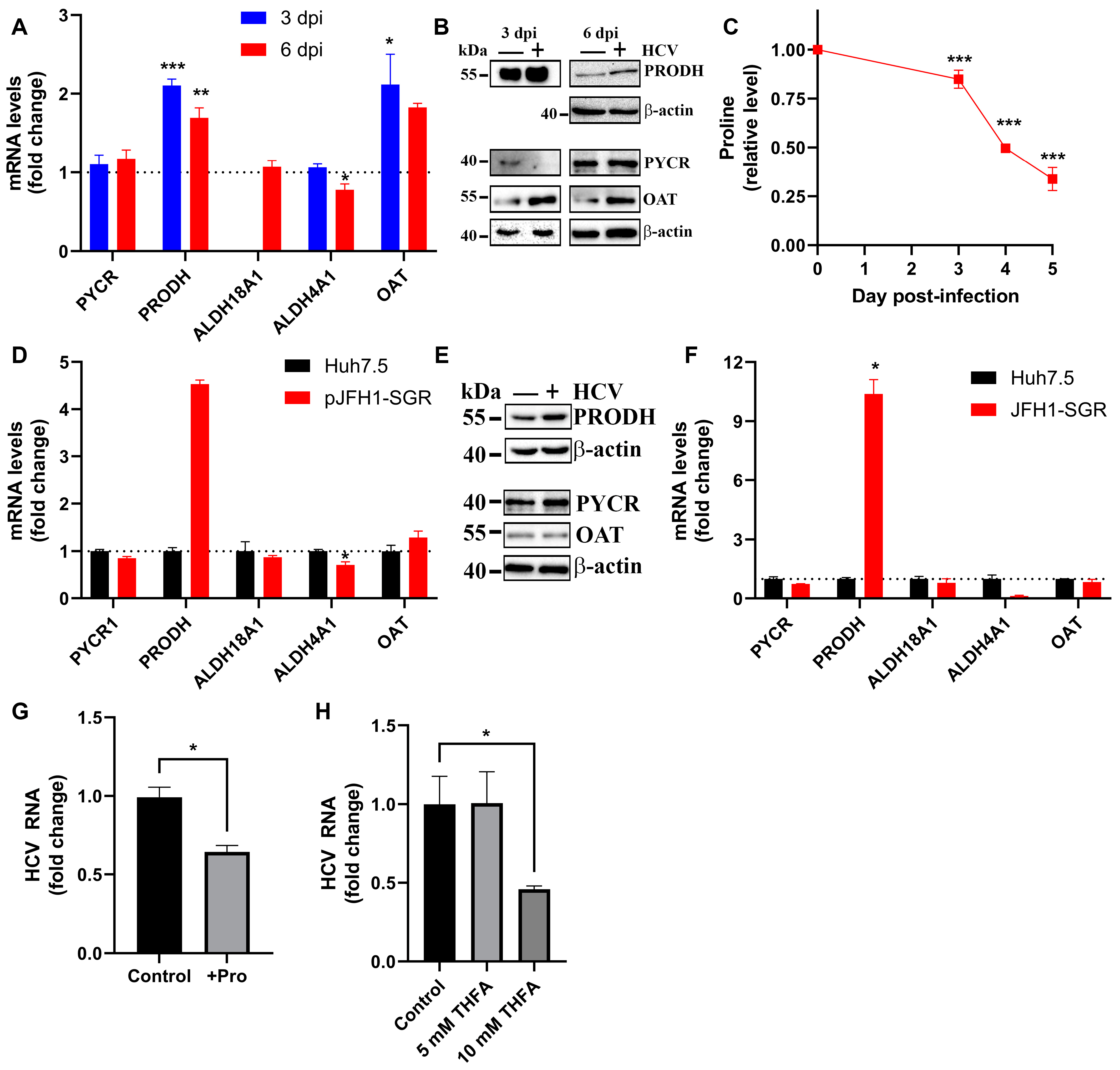 Cells 13 01036 g003 Cells 13 01036 g003