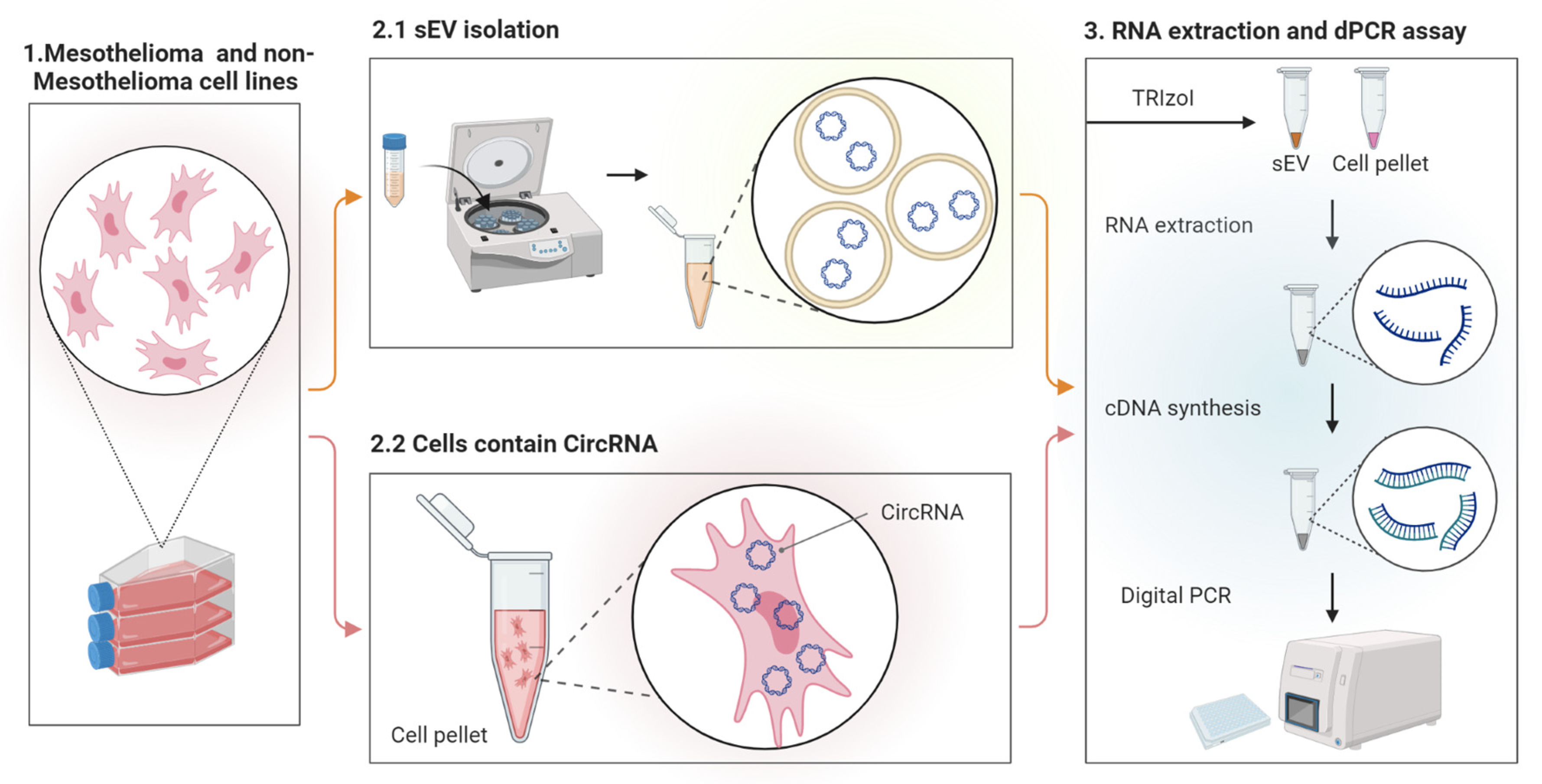 Cells 13 01037 g001 Cells 13 01037 g001