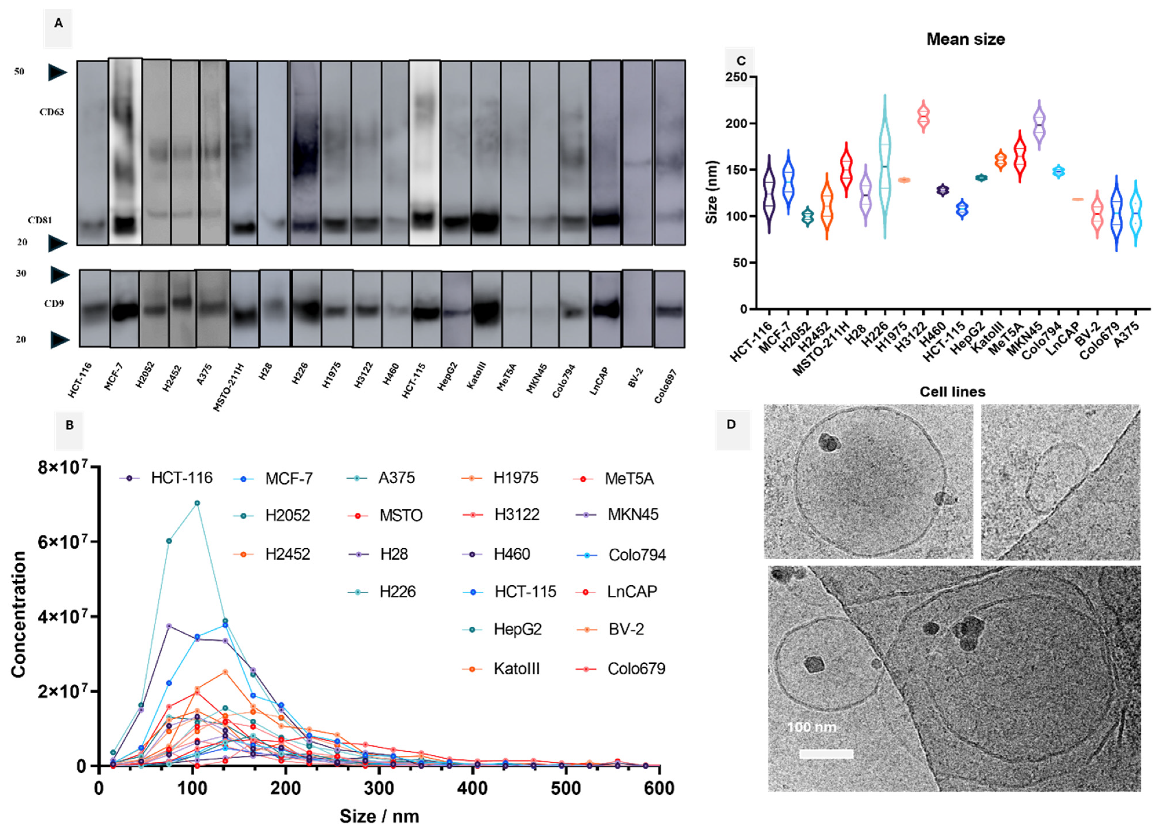 Cells 13 01037 g002 Cells 13 01037 g002