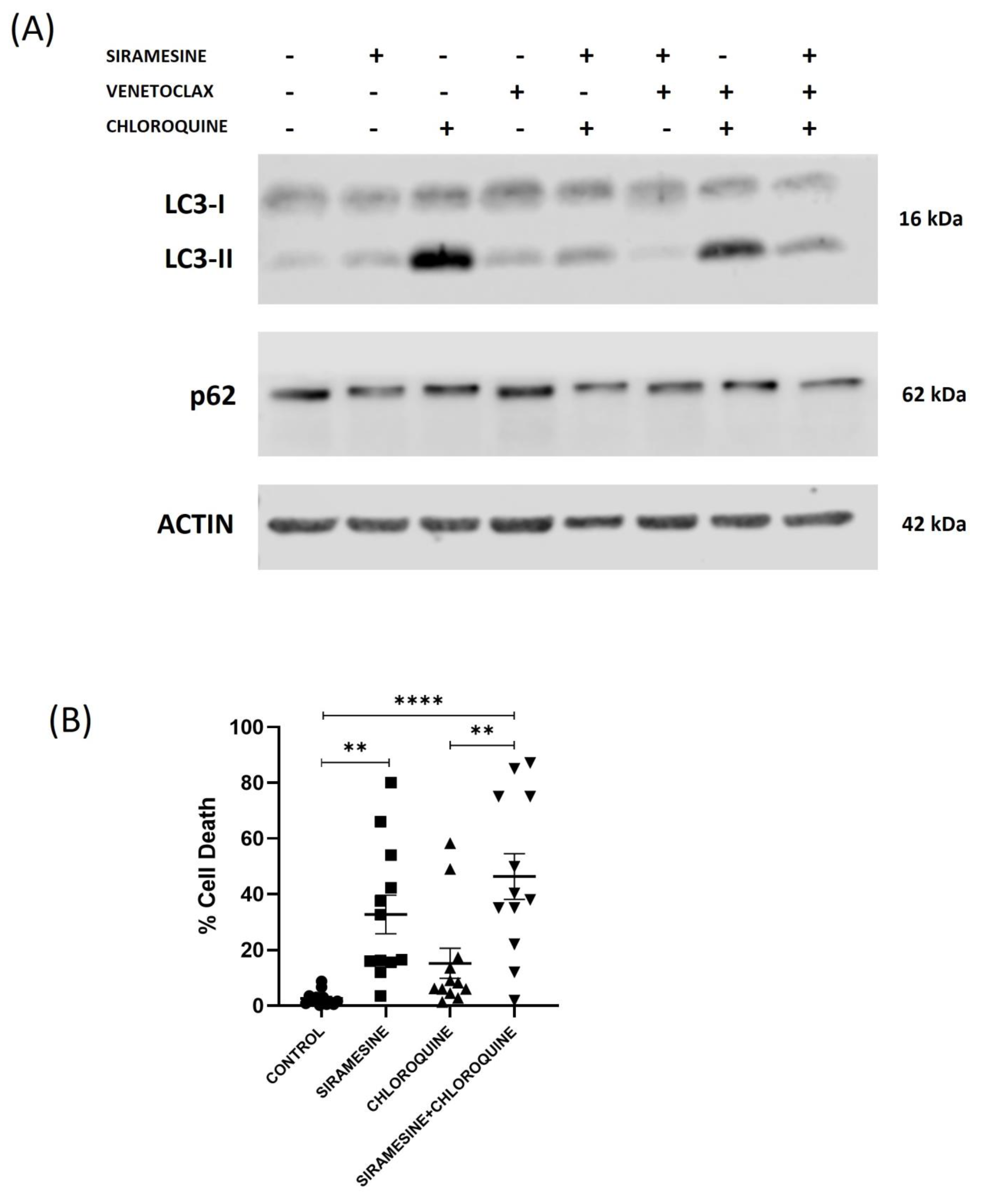 Cells 13 01041 g008 Cells 13 01041 g008