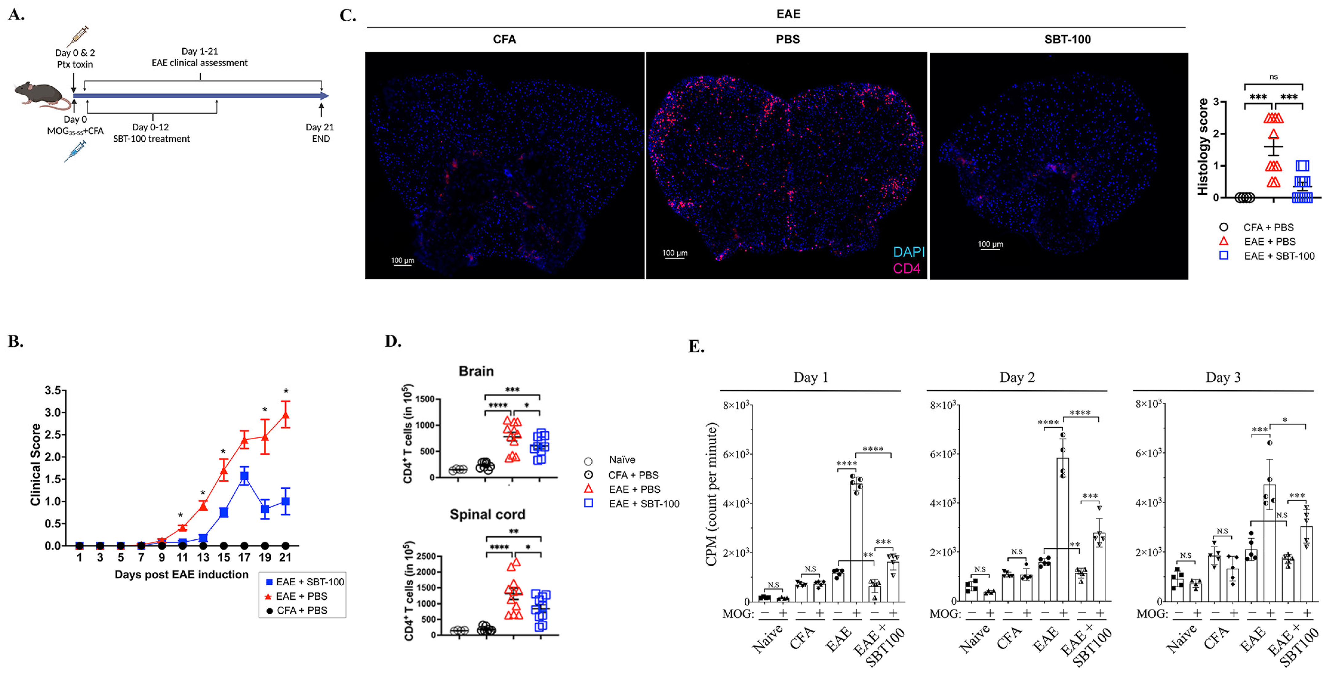 Cells 13 01042 g002 Cells 13 01042 g002
