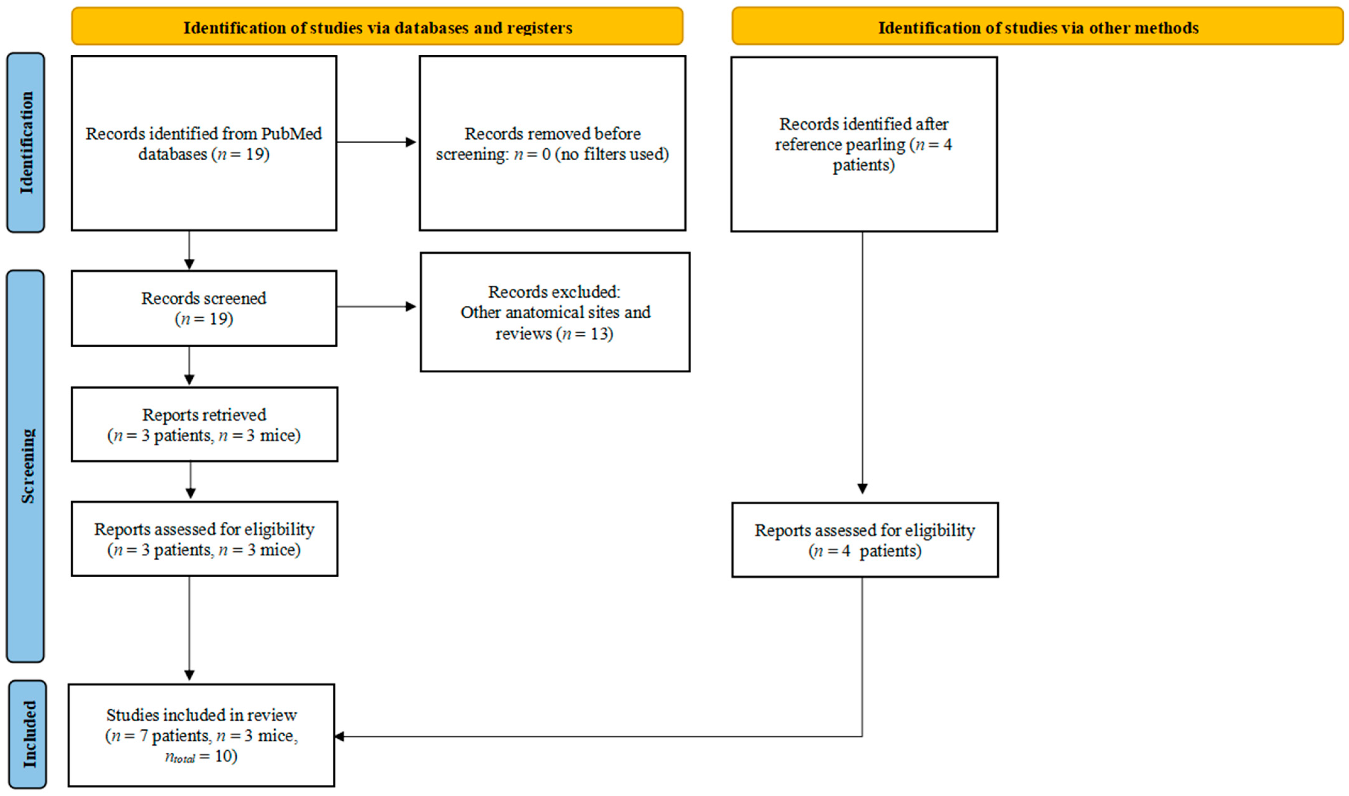 Cells 13 01048 g002 Cells 13 01048 g002