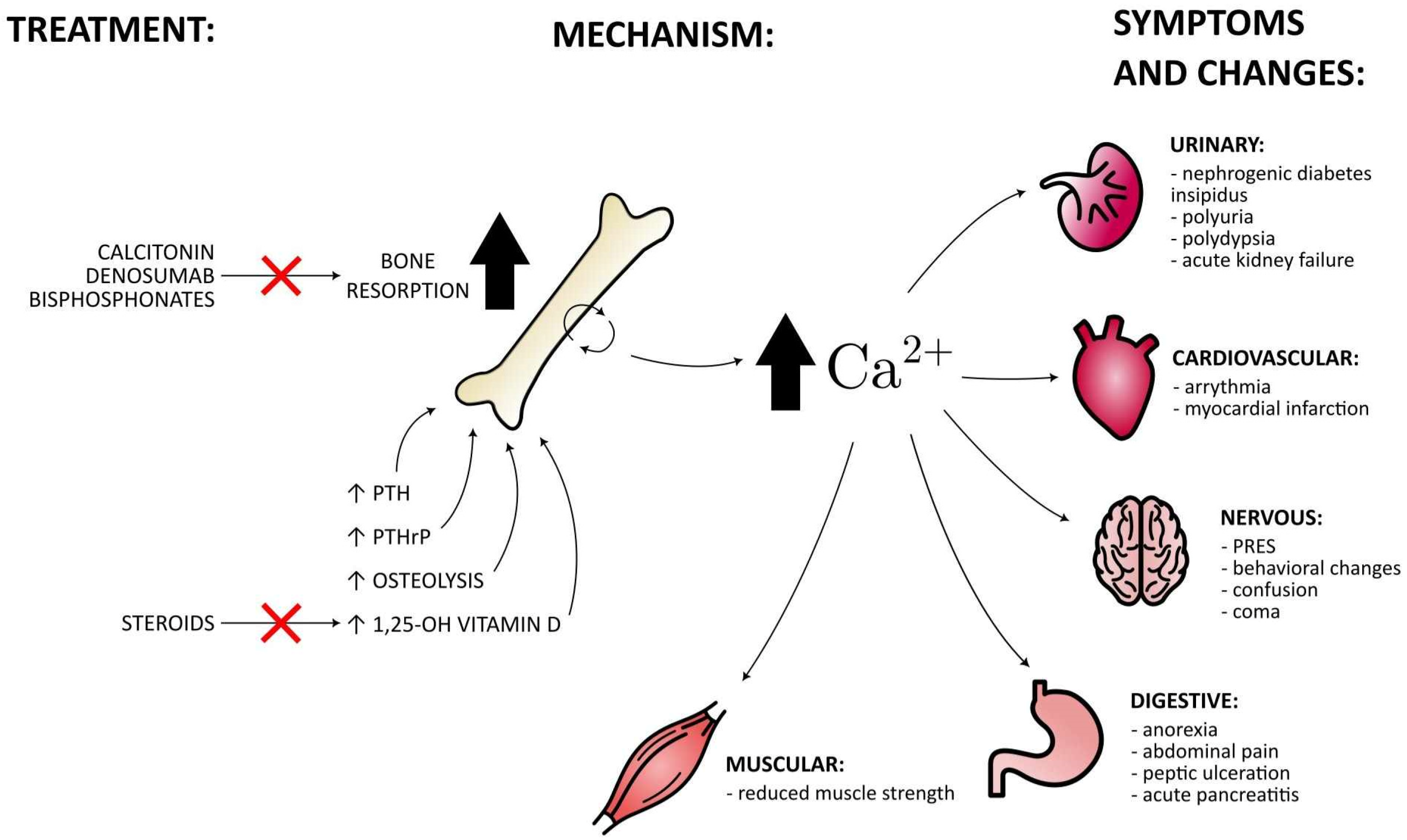 Hypercalcemia Symptoms By Level