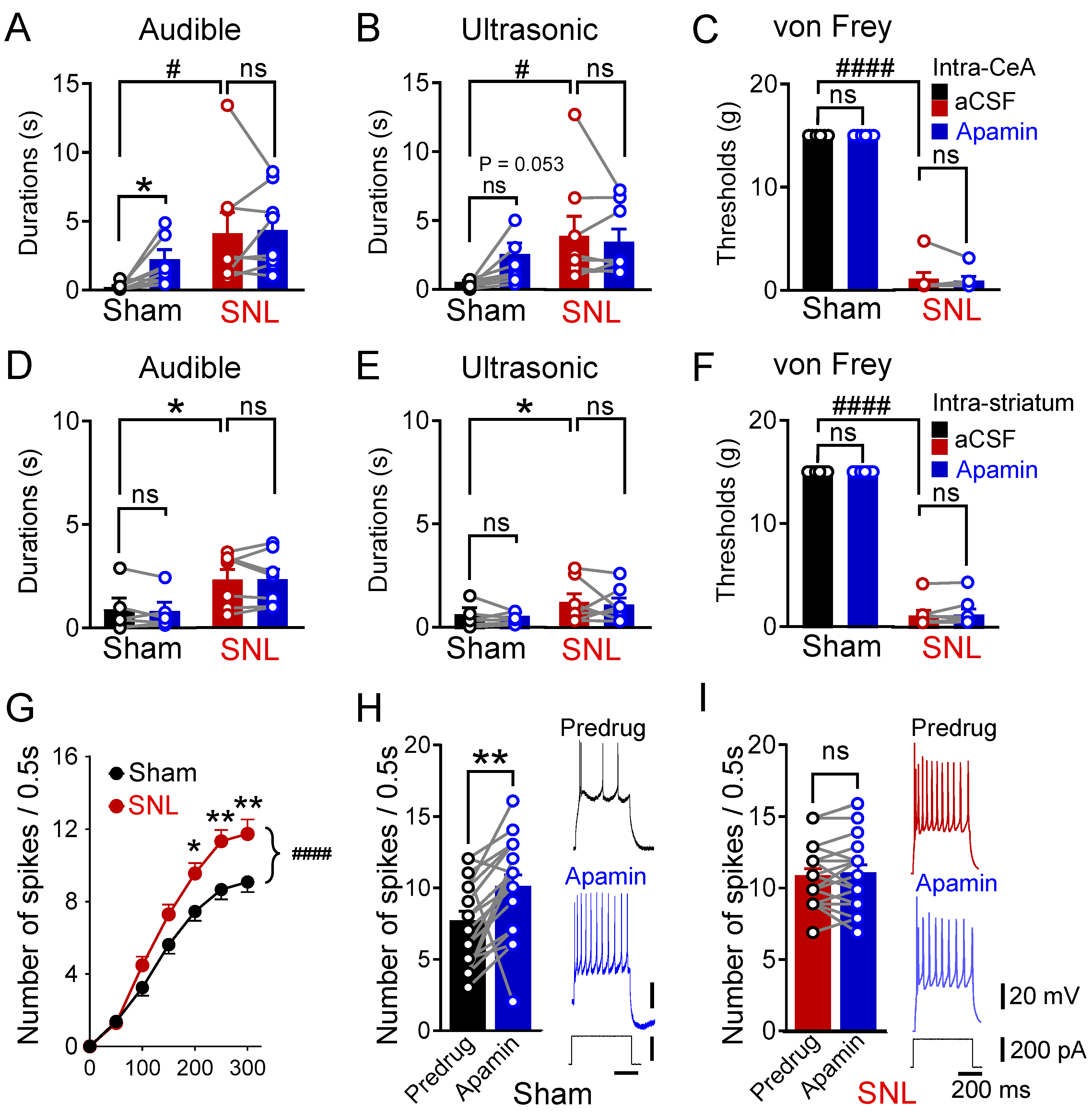 Cells 13 01055 g001 Cells 13 01055 g001