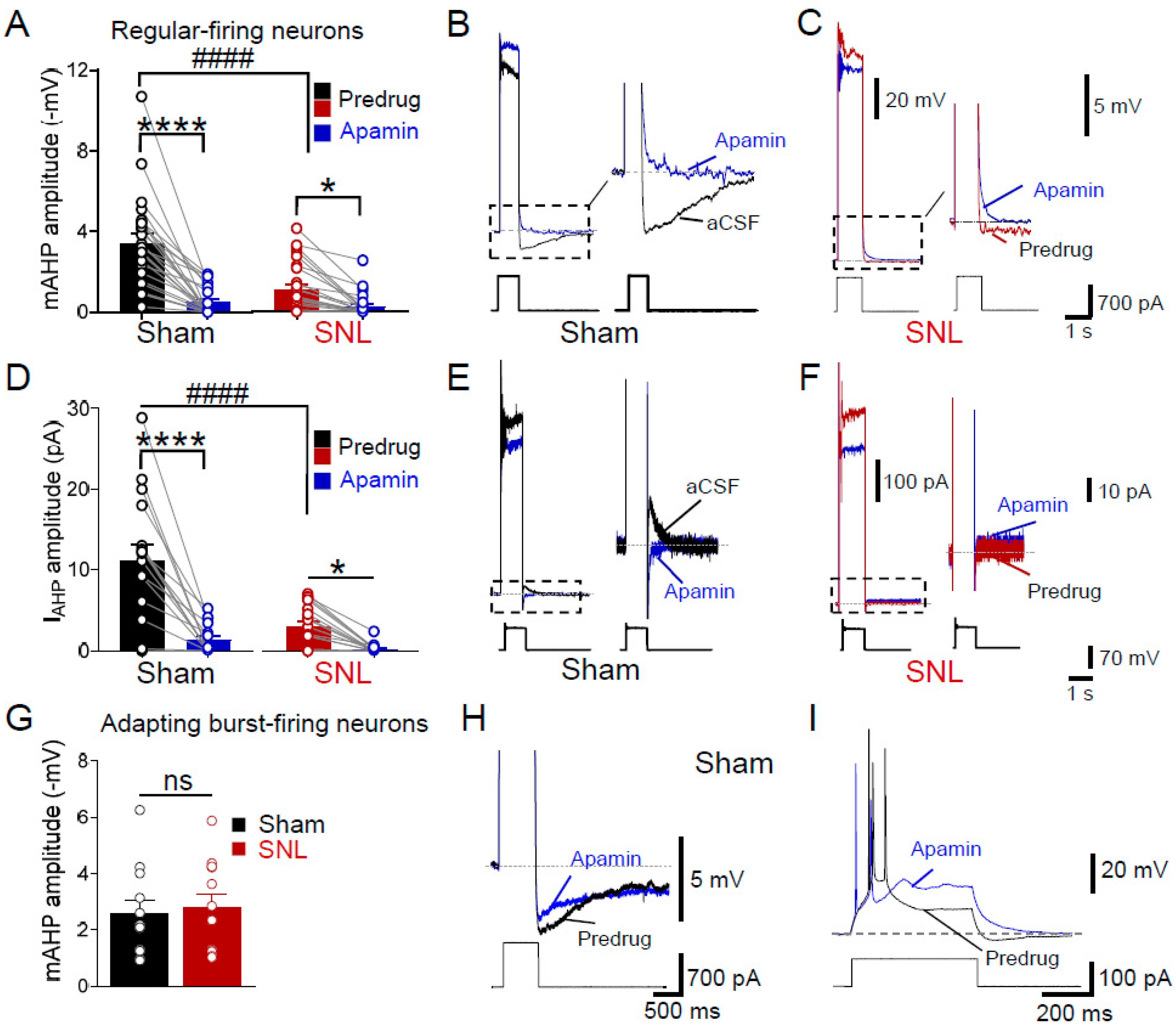 Cells 13 01055 g002 Cells 13 01055 g002