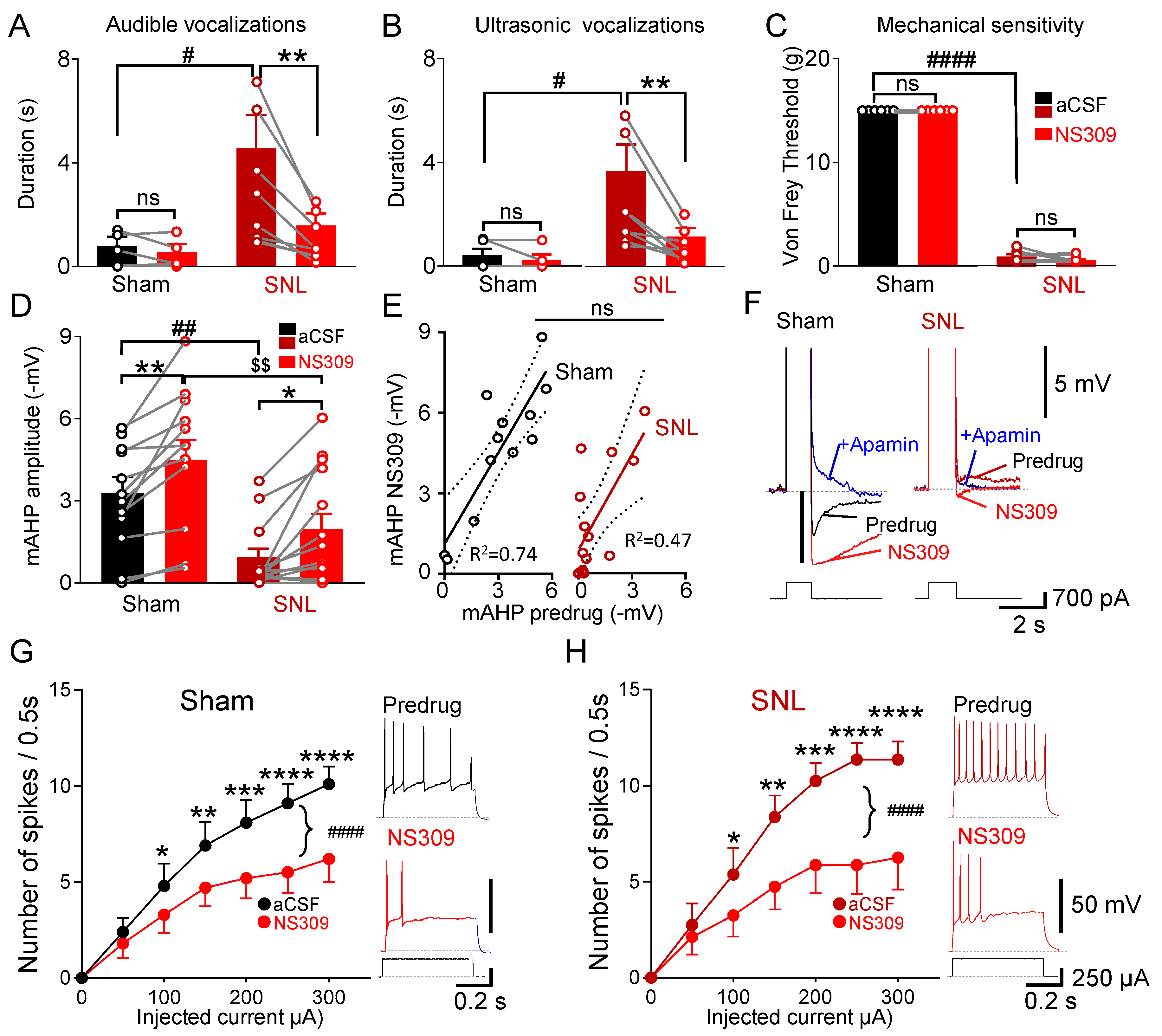Cells 13 01055 g003 Cells 13 01055 g003