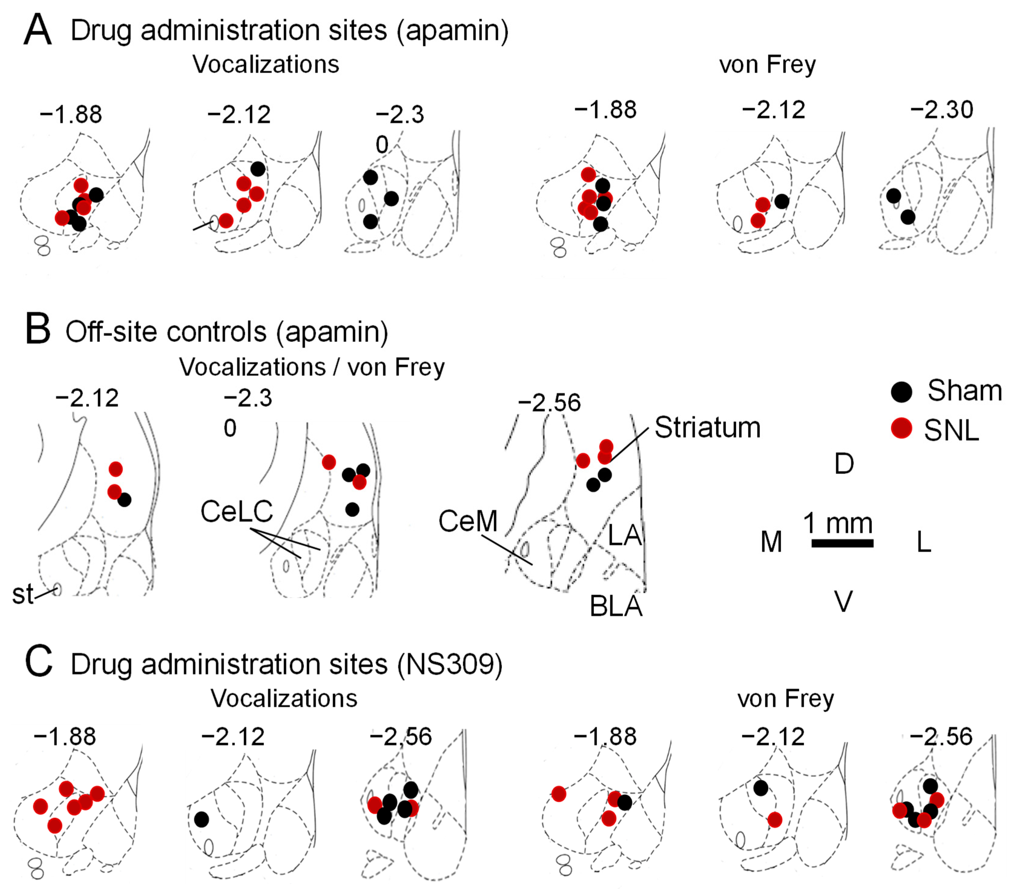 Cells 13 01055 g004 Cells 13 01055 g004