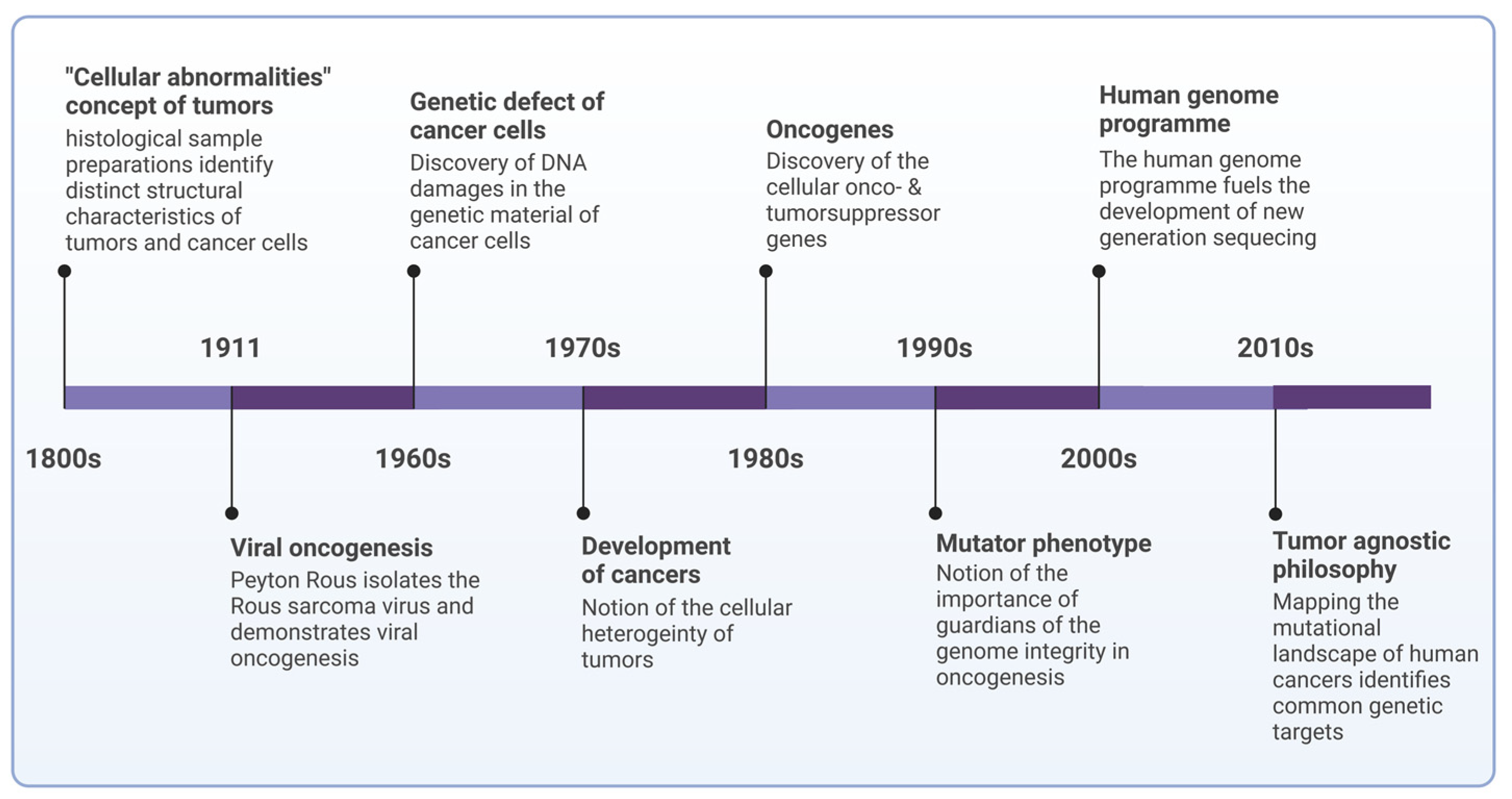 Cells 13 01071 g001 Cells 13 01071 g001