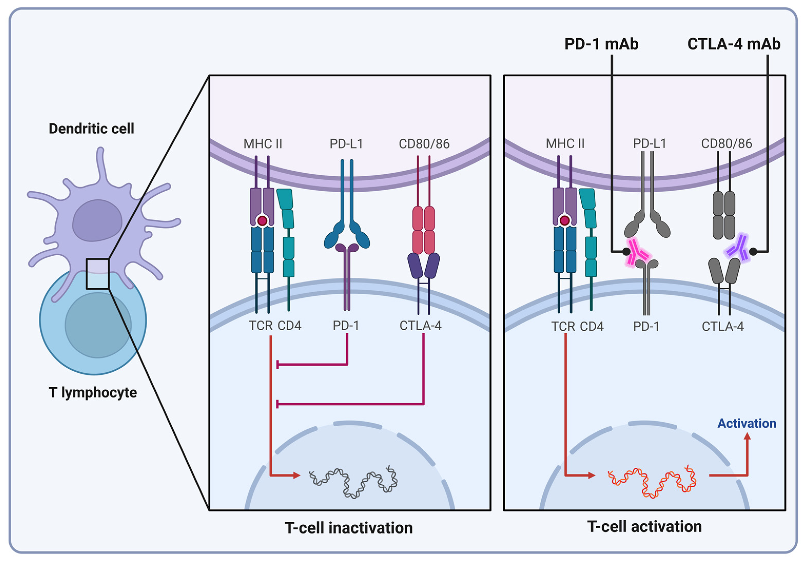Cells 13 01071 g004 Cells 13 01071 g004