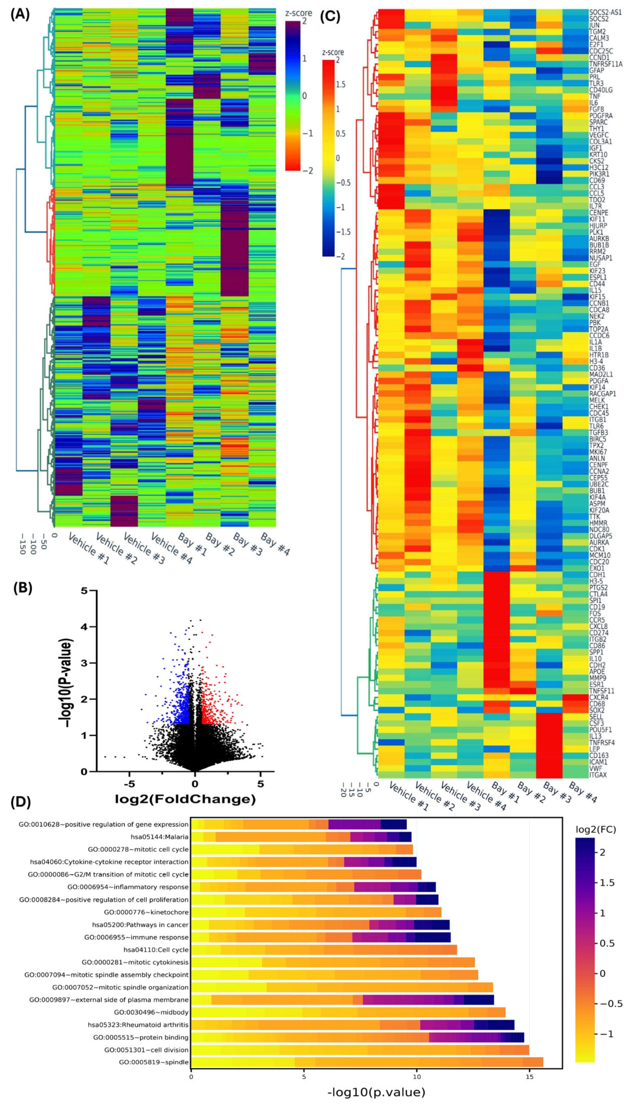 Cells 13 01091 g002a