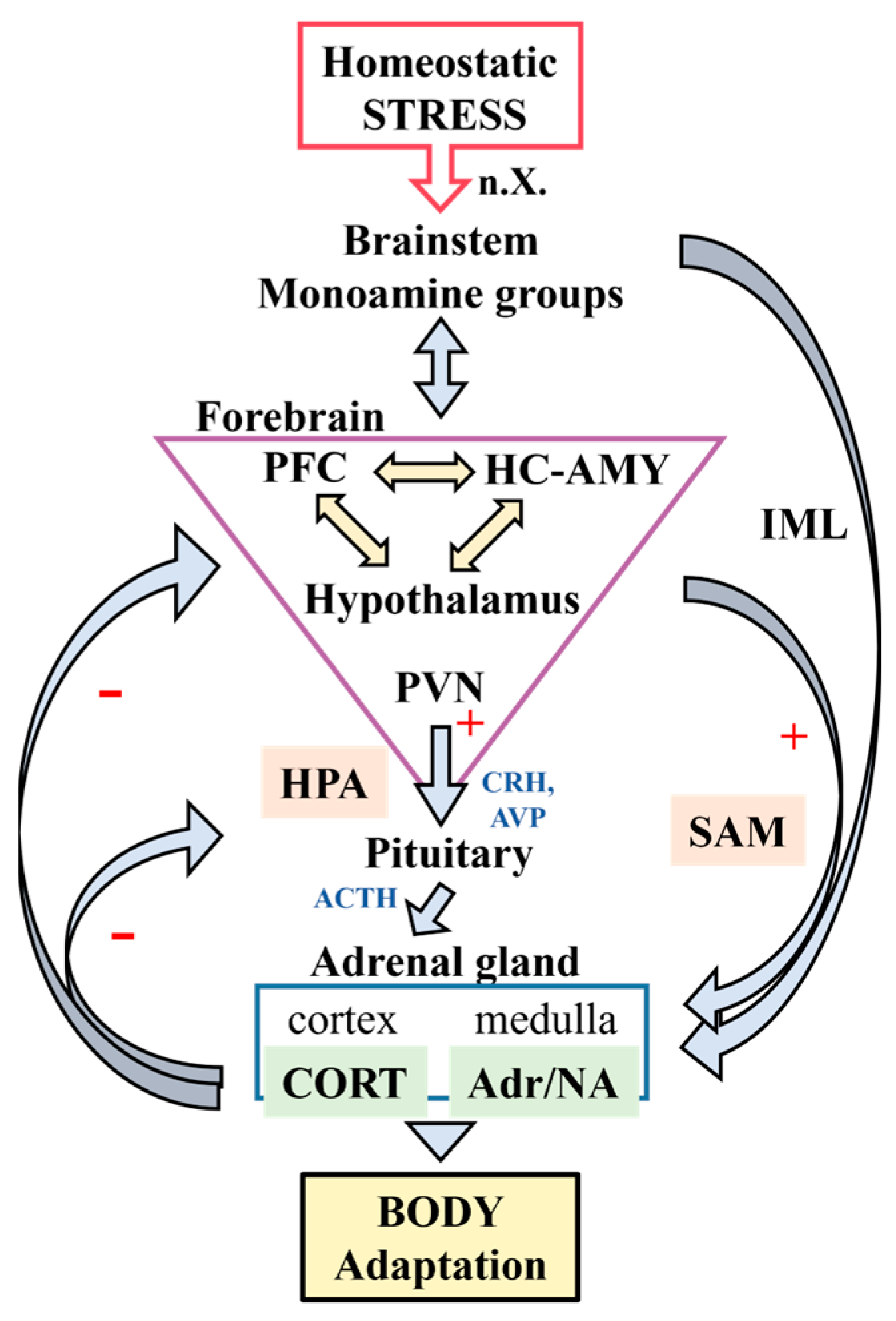 Cells 13 01097 g001 Cells 13 01097 g001