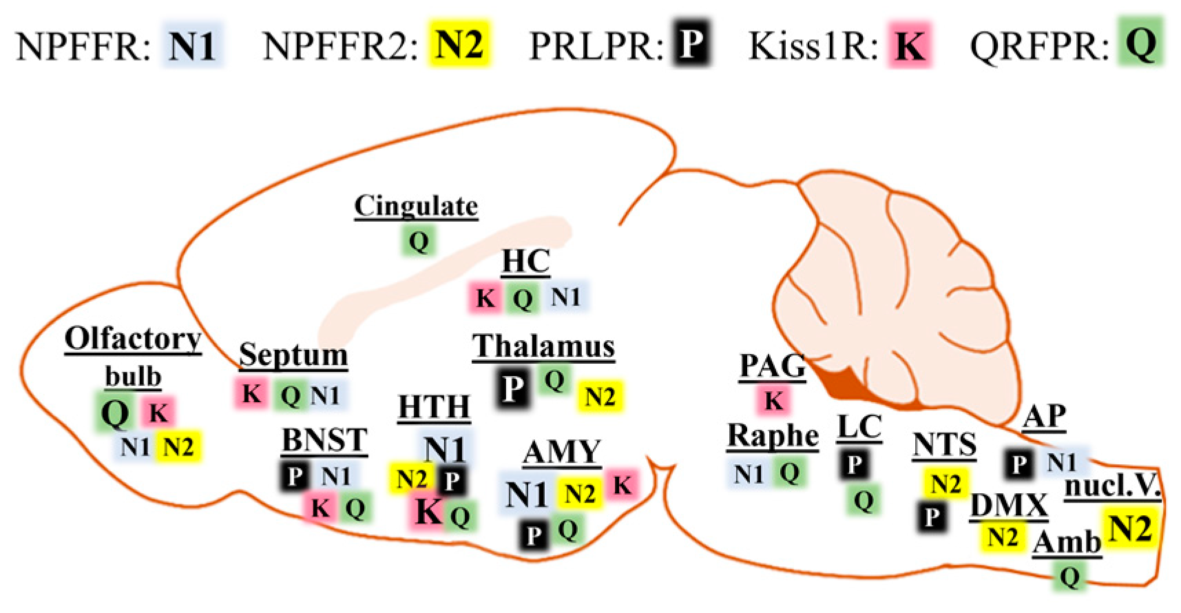 Cells 13 01097 g003 Cells 13 01097 g003