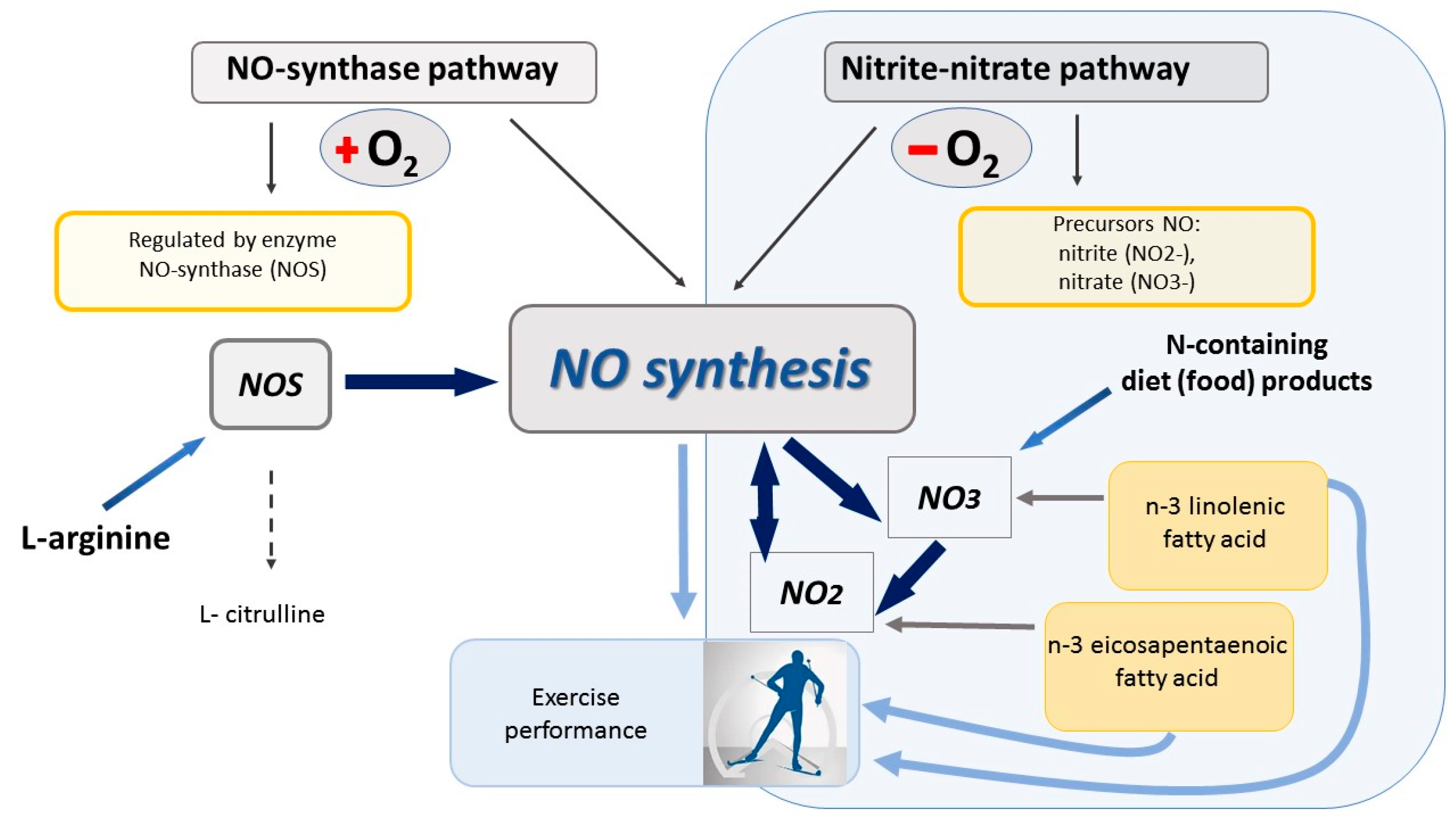 Cells 13 01110 g003 Cells 13 01110 g003