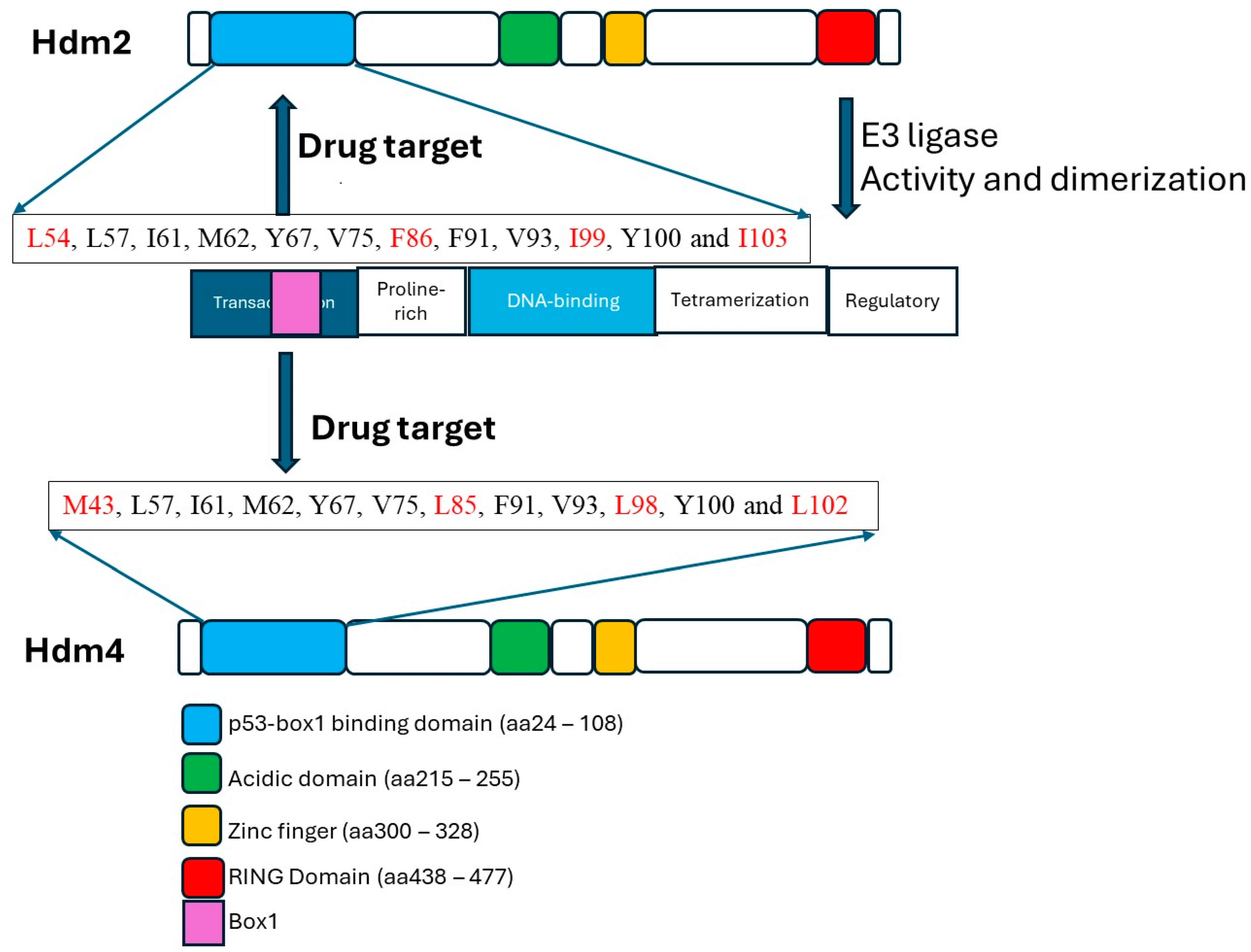 Cells 13 01124 g001 Cells 13 01124 g001