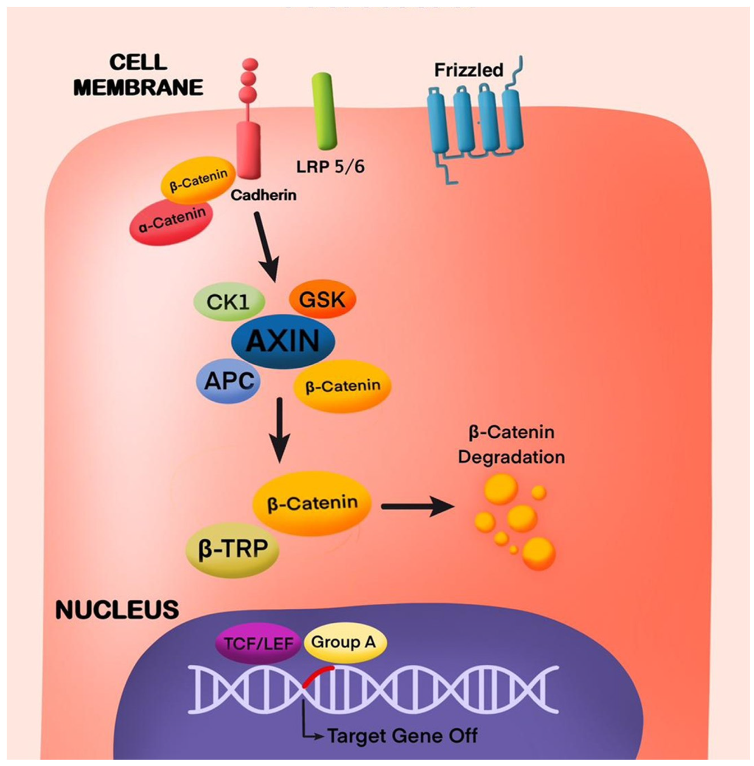 Cells 13 01153 g002 Cells 13 01153 g002