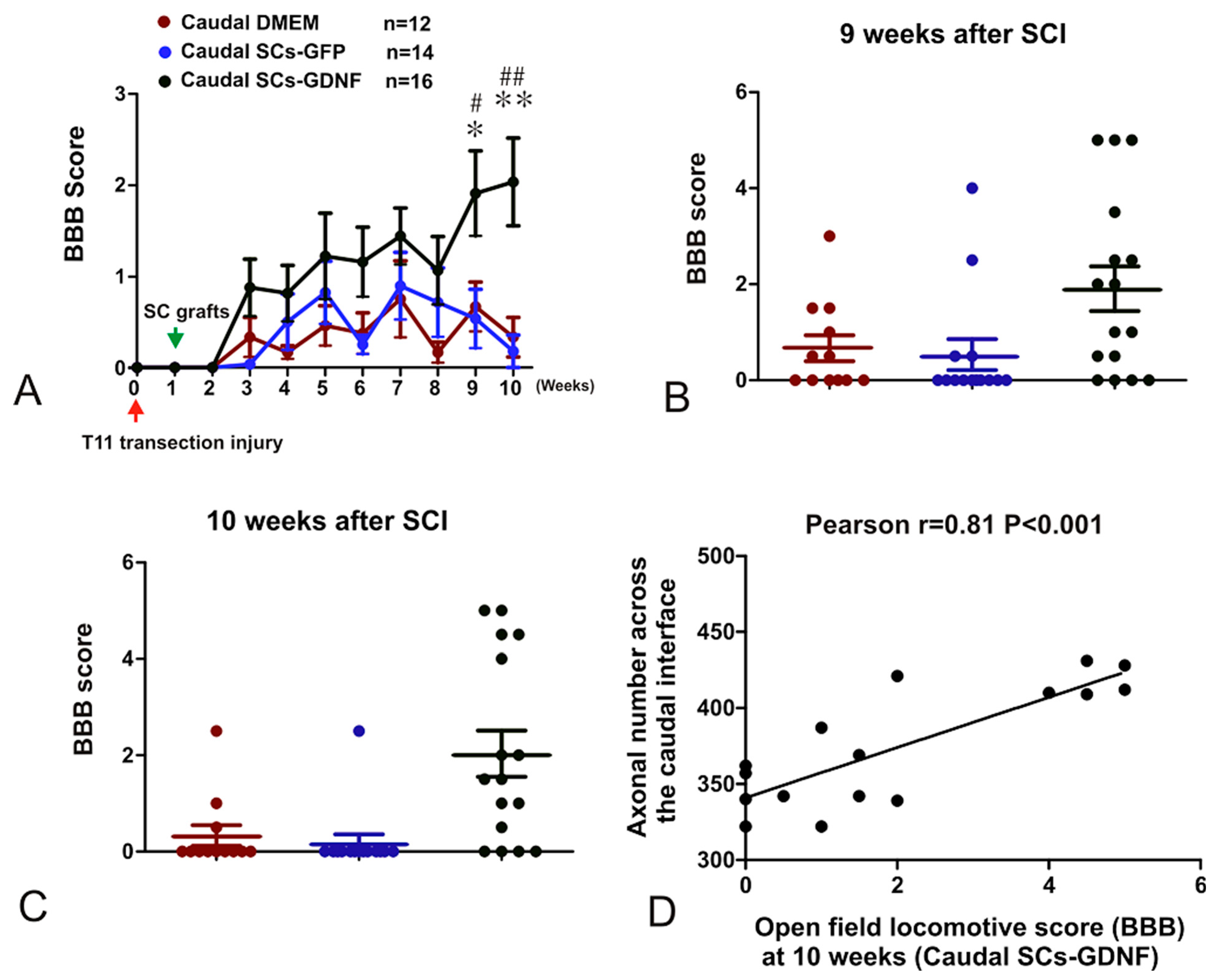 Cells 13 01160 g008 Cells 13 01160 g008