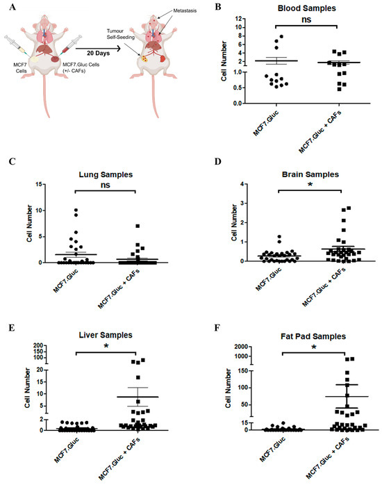 A Novel Method for the Early Detection of Single Circulating ...